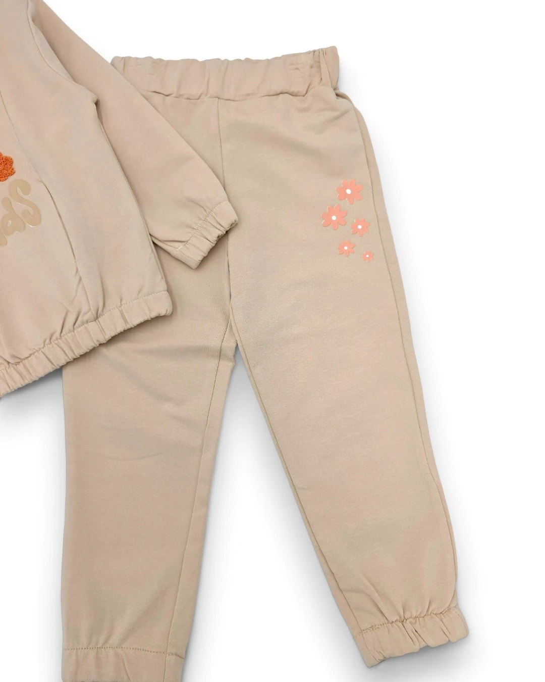 Kız Çocuk 2-3-4-5-6 Yaş, Mevsimlik Kapüşonlu , Çiçek Nakışlı Compact Eşofman Takımı R2317