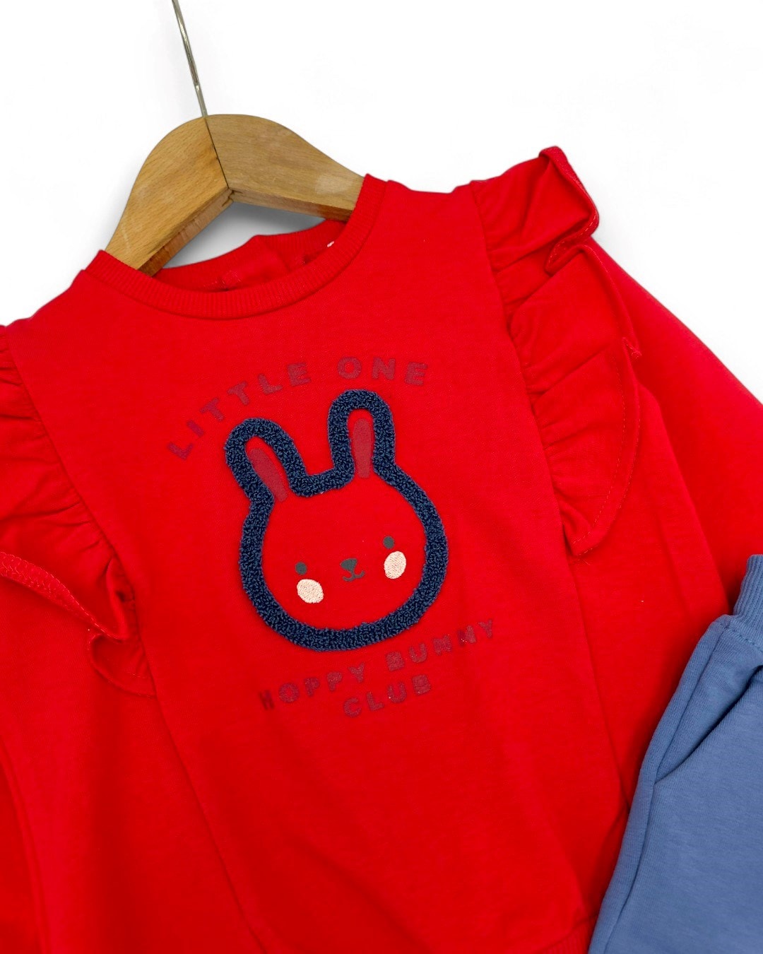 Kız Bebek Mevsimlik 6-9-12-18-24 Aylık Tavşan Baskılı Alt Üst Şık Takım R2319