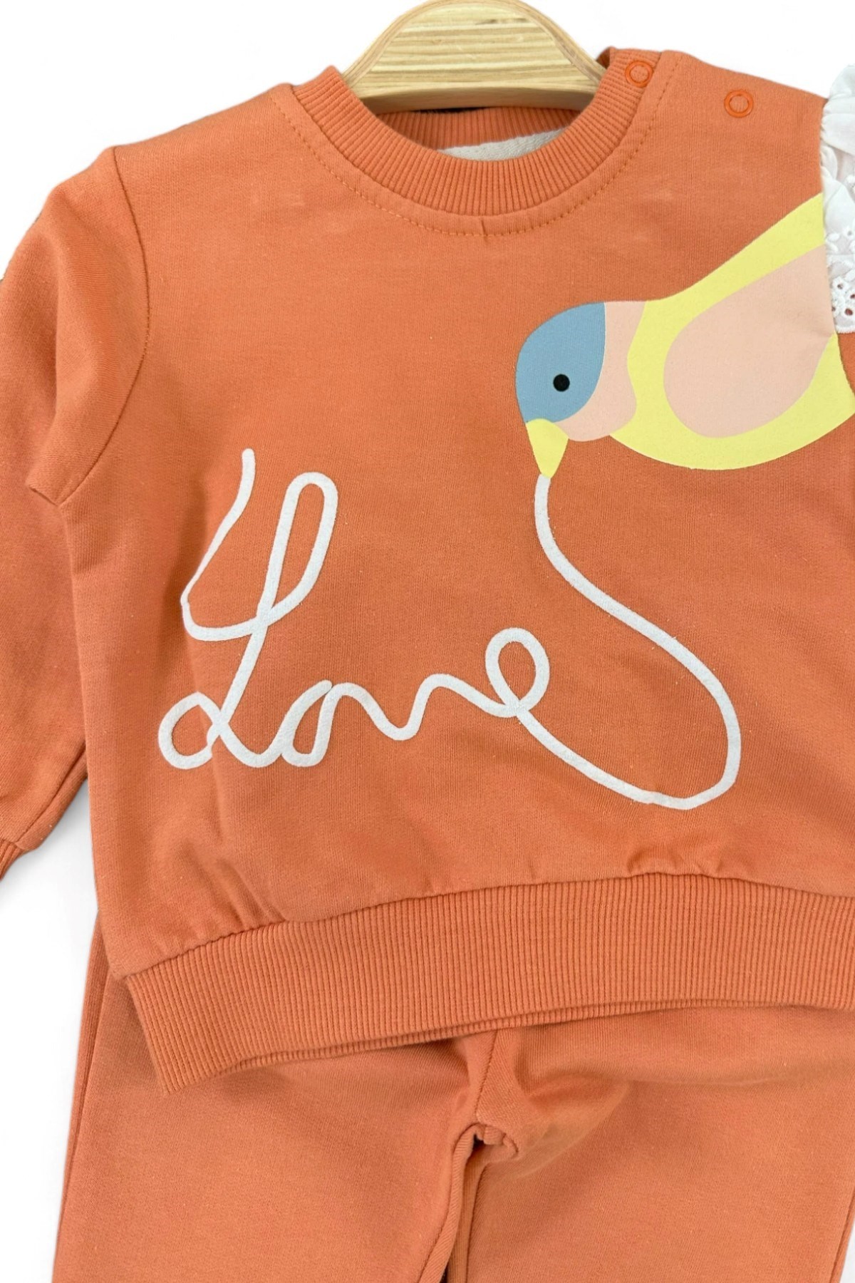 KIZ BEBEK MEVSİMLİK ALT ÜST TAKIM  KUŞ BASKILI BRODE DETAYLI 6-24 AY R1068
