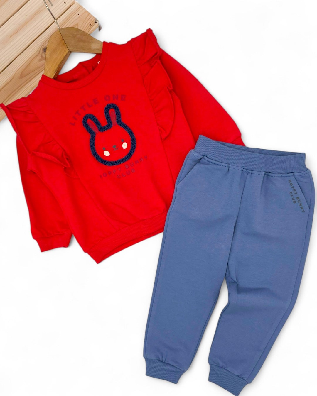 Kız Bebek Mevsimlik 6-9-12-18-24 Aylık Tavşan Baskılı Alt Üst Şık Takım R2319