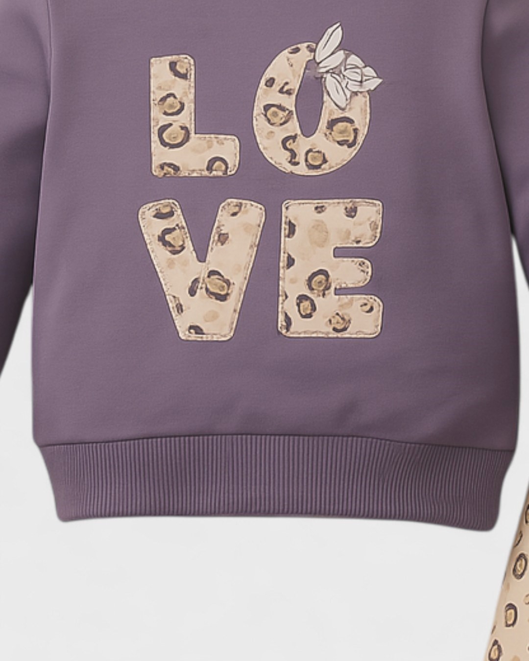Kız Bebek Love Nakışlı Uzun Kollu Takım - Kalpli Taytlı 2'li Mevsimlik Set (6-24 Ay) R1915