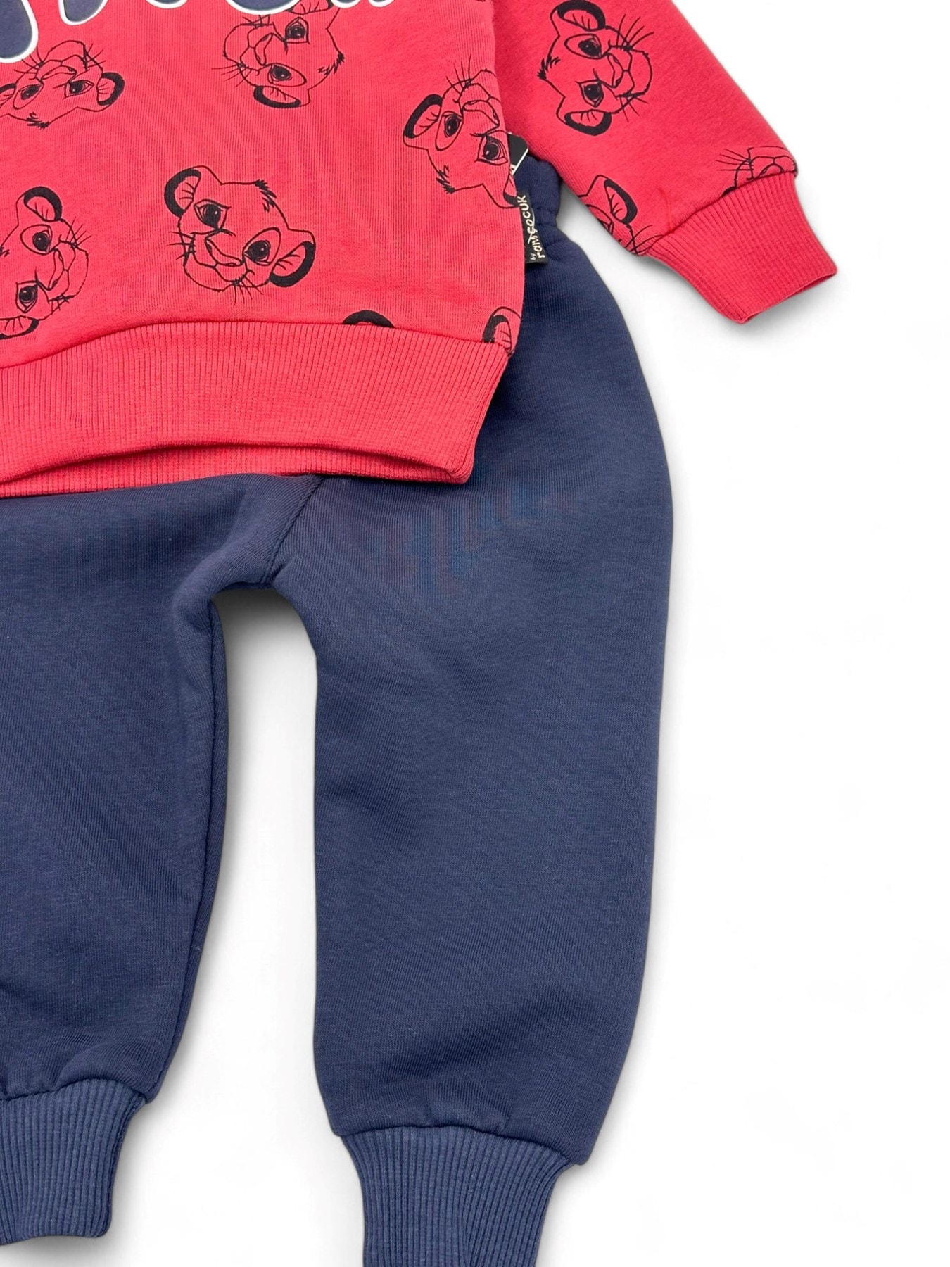 Erkek Çocuk Simba Baskılı 3 İp Şardonlu Kışlık 3-6-9-12-18 Ay Bebek Takımı R1452