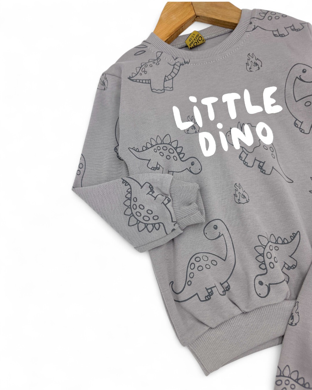 Erkek Bebek Little Dino Baskılı 6-9-12-18-24 Ay Mevsimlik, Uzun Kollu 2 İplik Bebek Takımı R2139