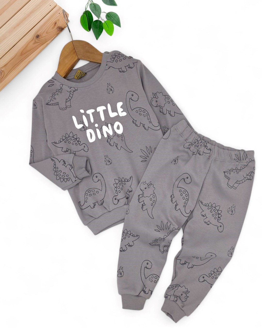 Erkek Bebek Little Dino Baskılı 6-9-12-18-24 Ay Mevsimlik, Uzun Kollu 2 İplik Bebek Takımı R2139 - GRİ