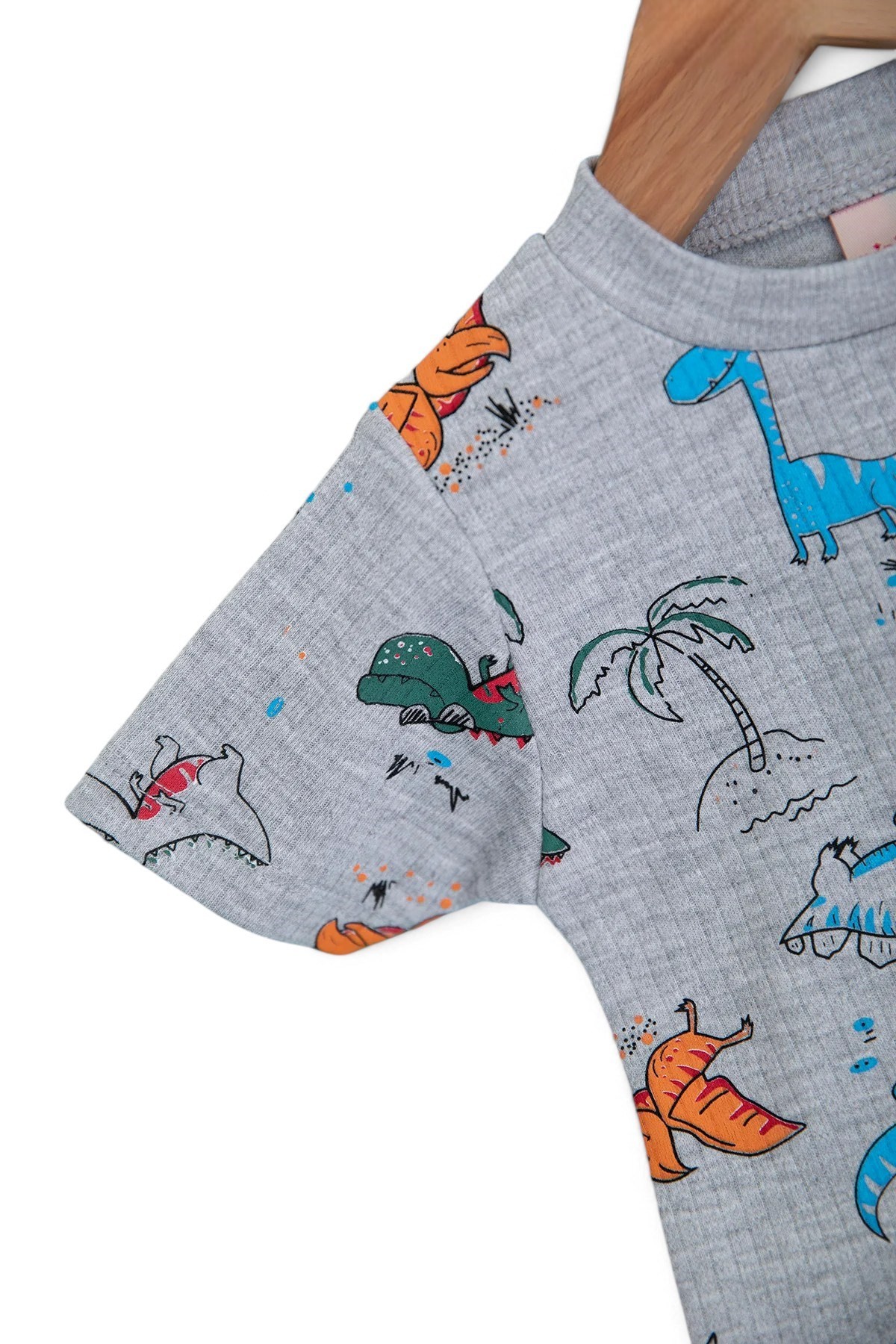 ERKEK BEBEK YAZLIK DİNOZOR BASKILI 6-9-12-18-24 AY FİTİLLİ CEPLİ ŞORTLU BEBEK TAKIMI R1690