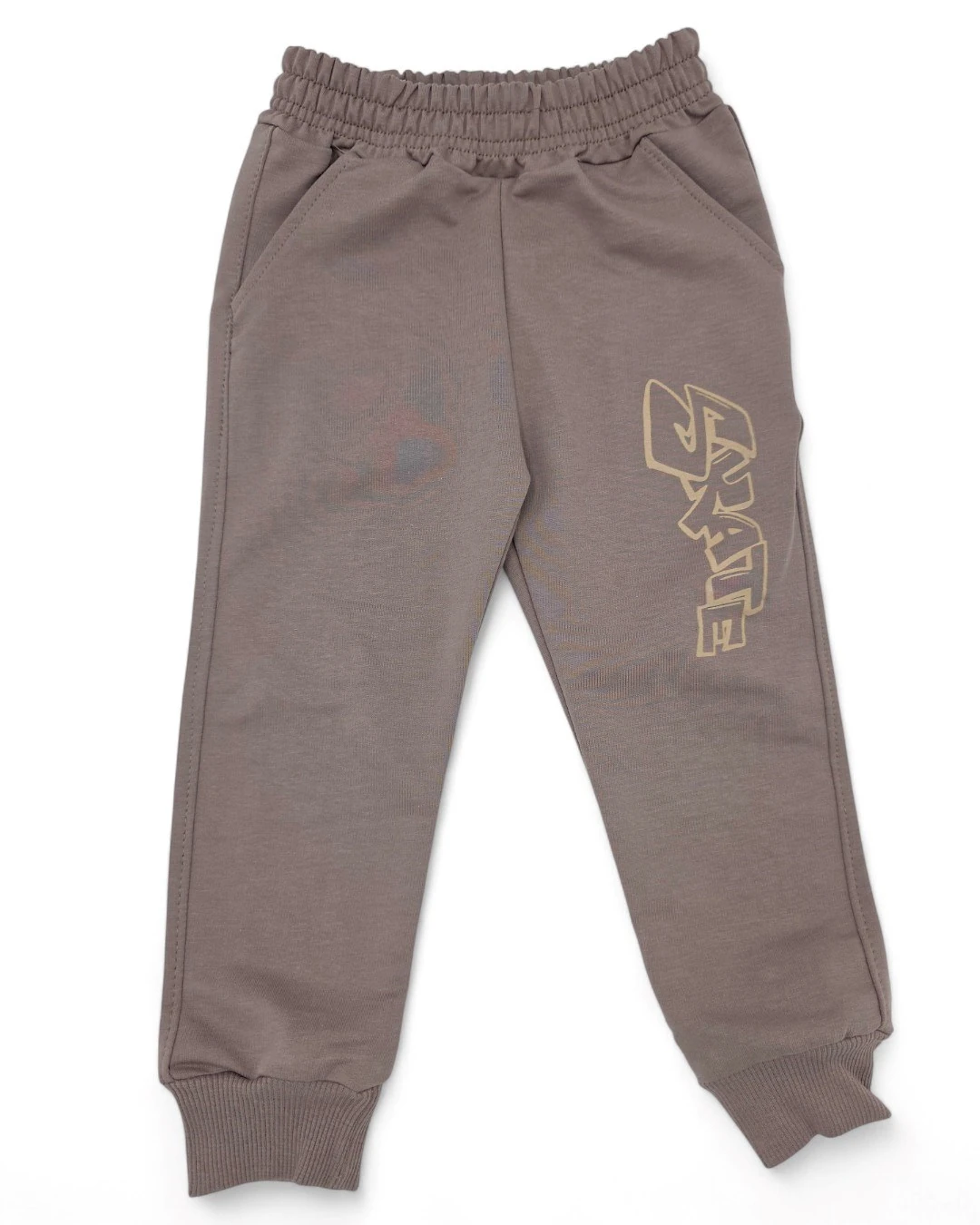 Erkek Çocuk Sırtı Kaykay Baskılı 2-10 Yaş Mevsimlik 2 İplik Eşofman Takımı R2127