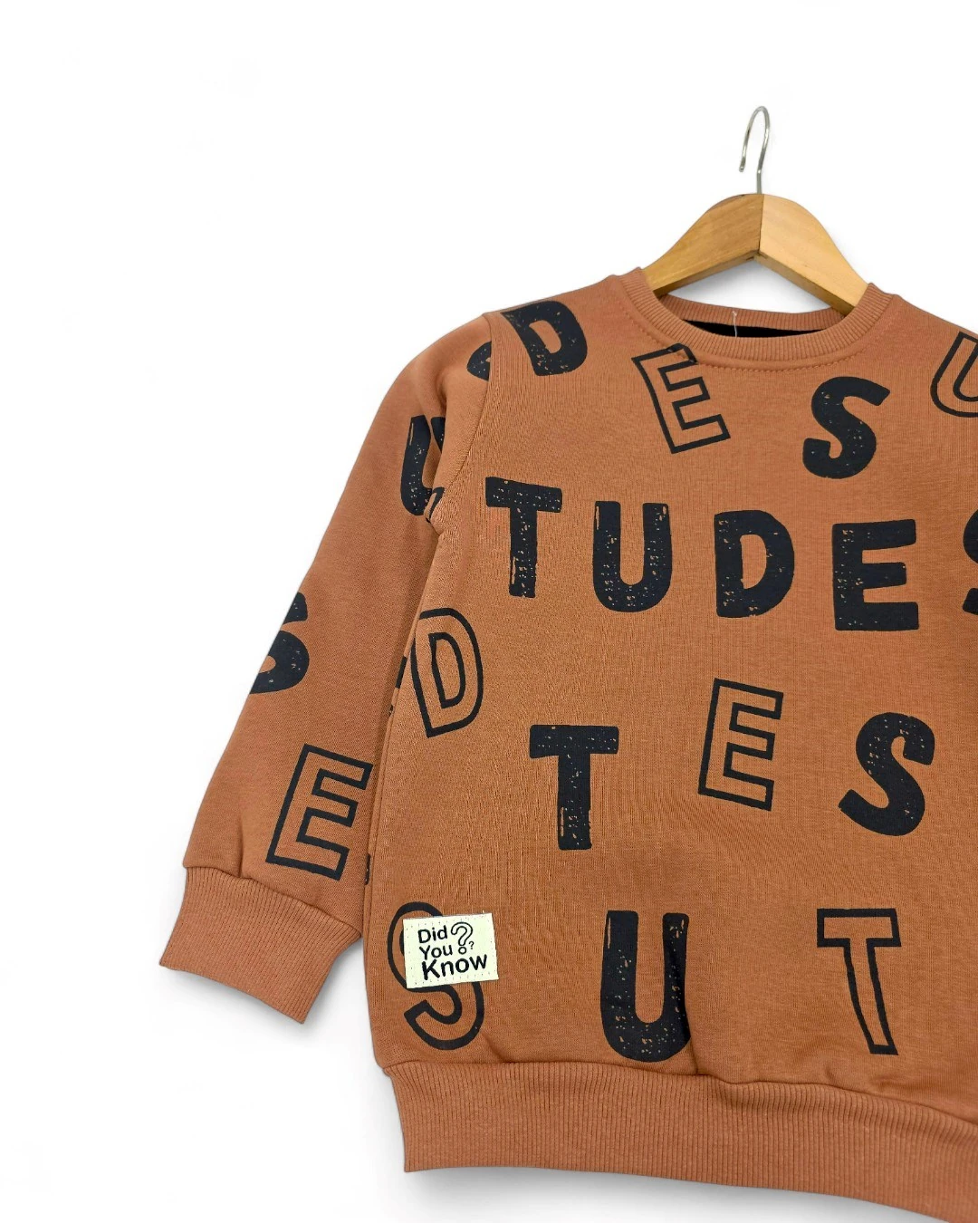 Erkek Çocuk Baskılı 3 İp Şardonlu Kışlık 6-7-8-9-10 Yaş Eşofmn Takımı / Sweatshirt ve Eşofman Altı R2279