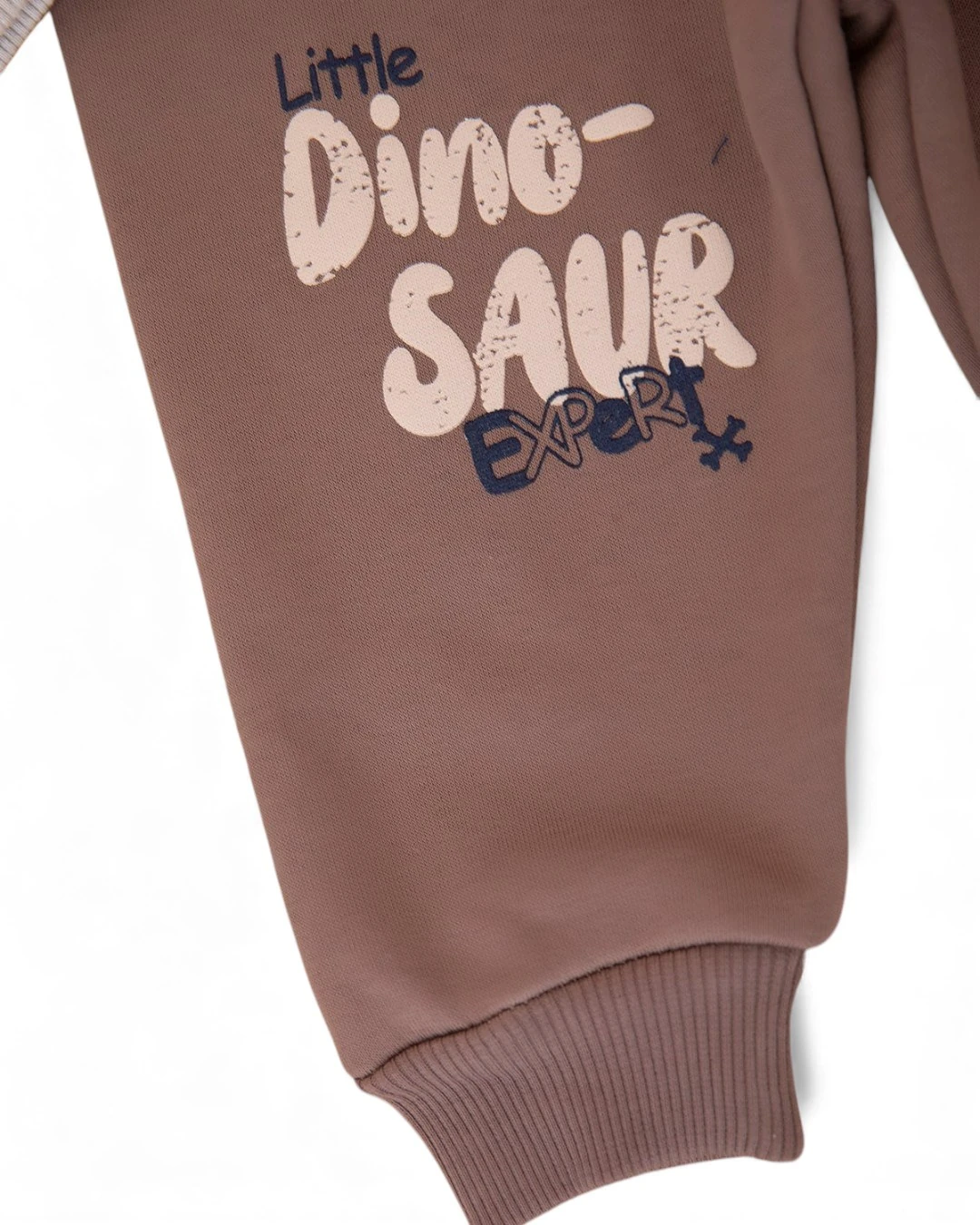 Erkek Bebek Dinozor Baskılı Kışlık 3 İp Şardonlu Alt Üst Eşofman Takımı, Kışlık Bebek Takımı R2390