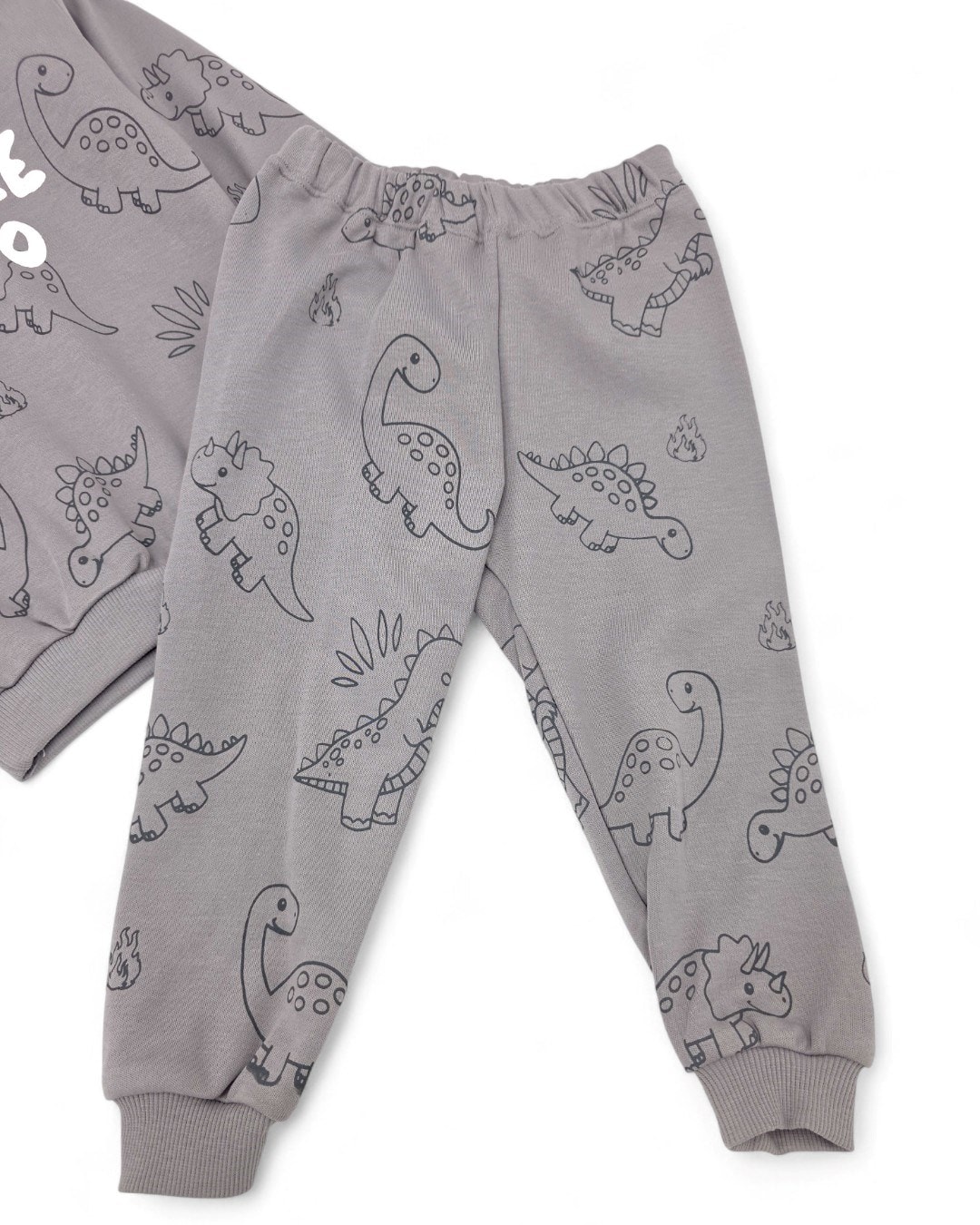 Erkek Bebek Little Dino Baskılı 6-9-12-18-24 Ay Mevsimlik, Uzun Kollu 2 İplik Bebek Takımı R2139