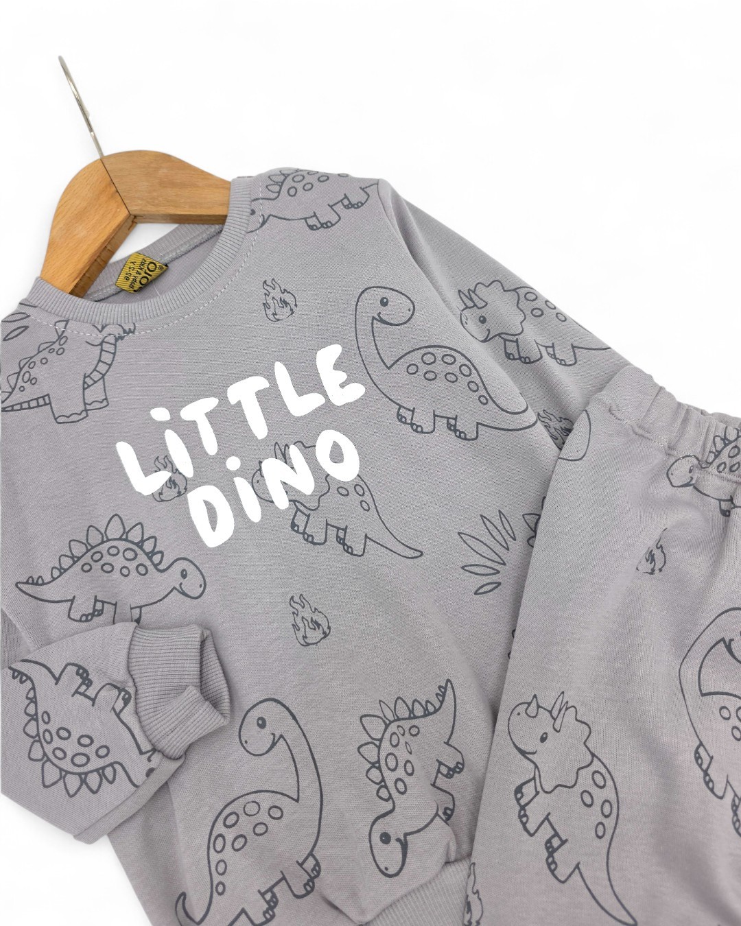 Erkek Bebek Little Dino Baskılı 6-9-12-18-24 Ay Mevsimlik, Uzun Kollu 2 İplik Bebek Takımı R2139