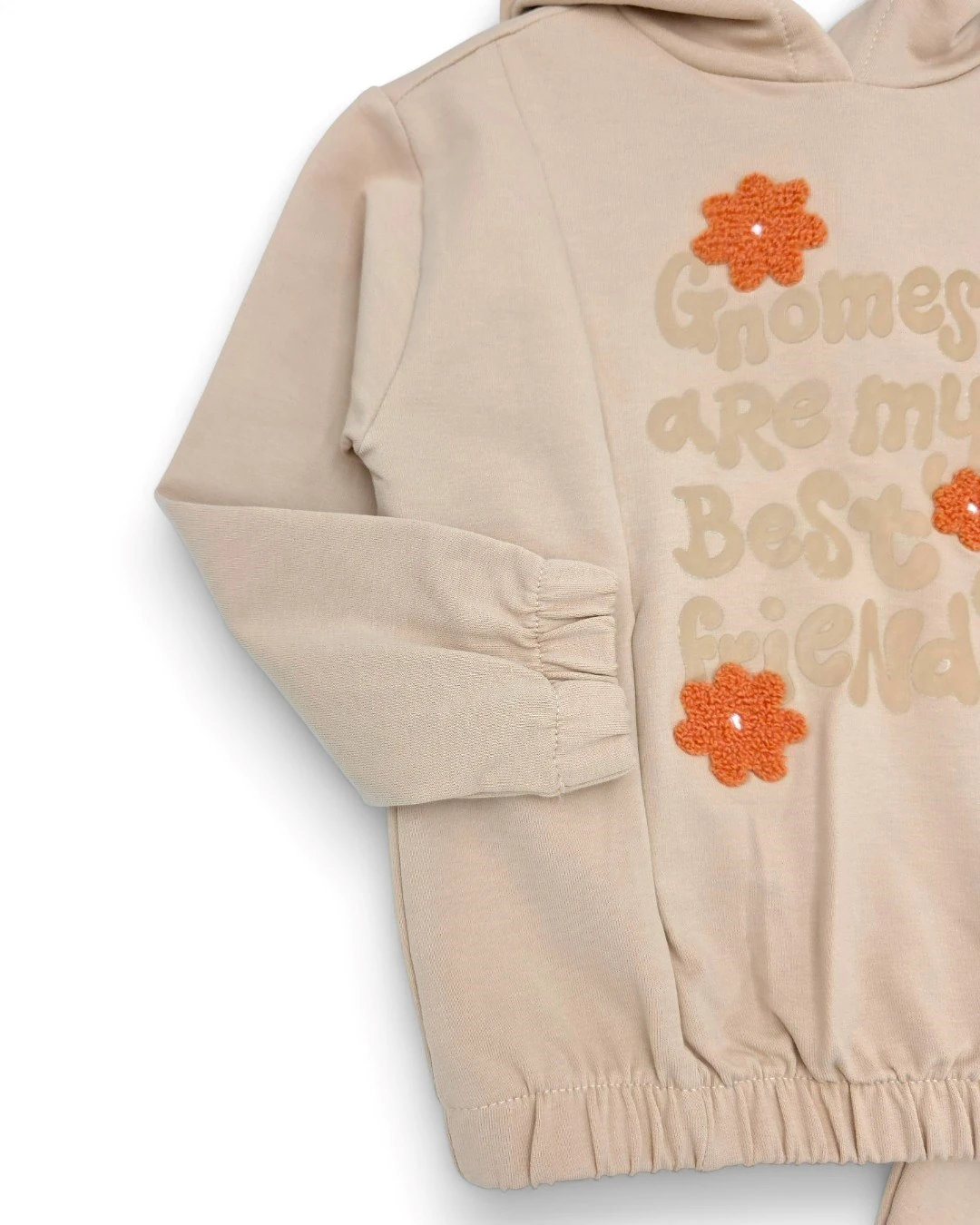 Kız Çocuk 2-3-4-5-6 Yaş, Mevsimlik Kapüşonlu , Çiçek Nakışlı Compact Eşofman Takımı R2317