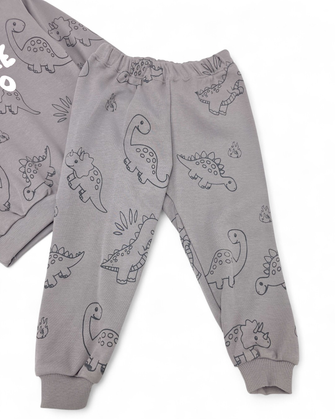 Erkek Bebek Little Dino Baskılı 6-9-12-18-24 Ay Mevsimlik, Uzun Kollu 2 İplik Bebek Takımı R2139