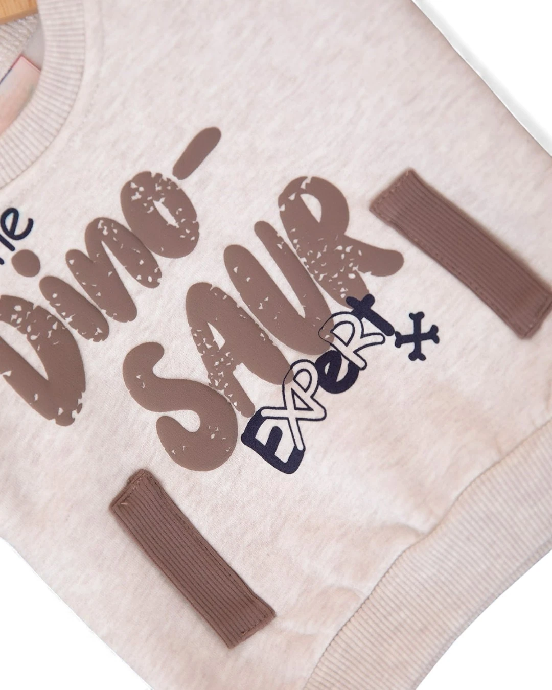 Erkek Bebek Dinozor Baskılı Kışlık 3 İp Şardonlu Alt Üst Eşofman Takımı, Kışlık Bebek Takımı R2390