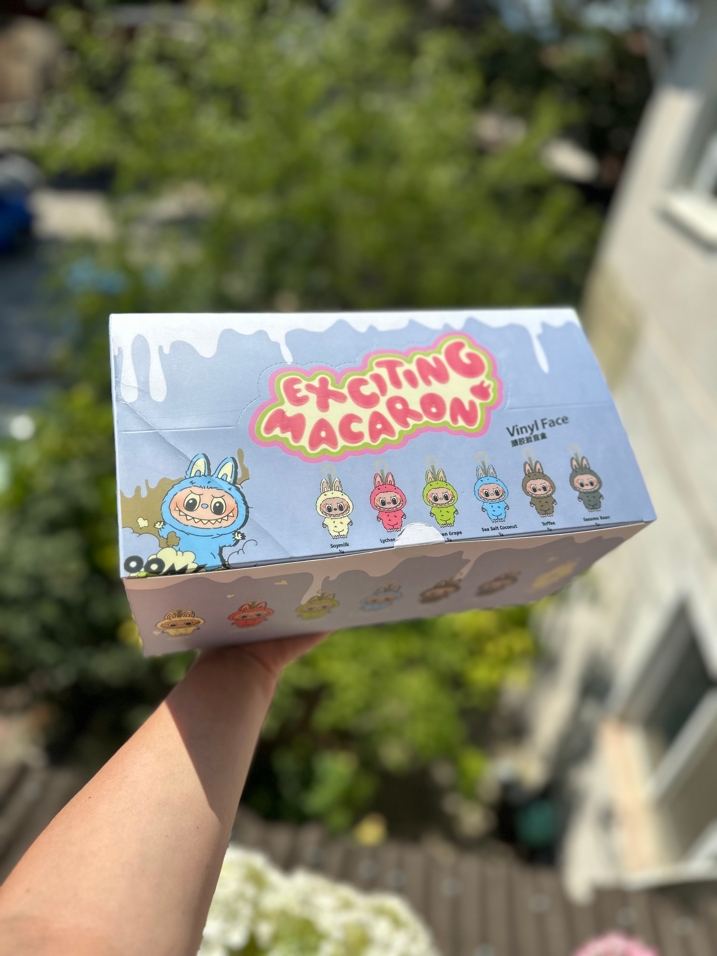 Labubu Exciting Macaron Sürpriz Kutu