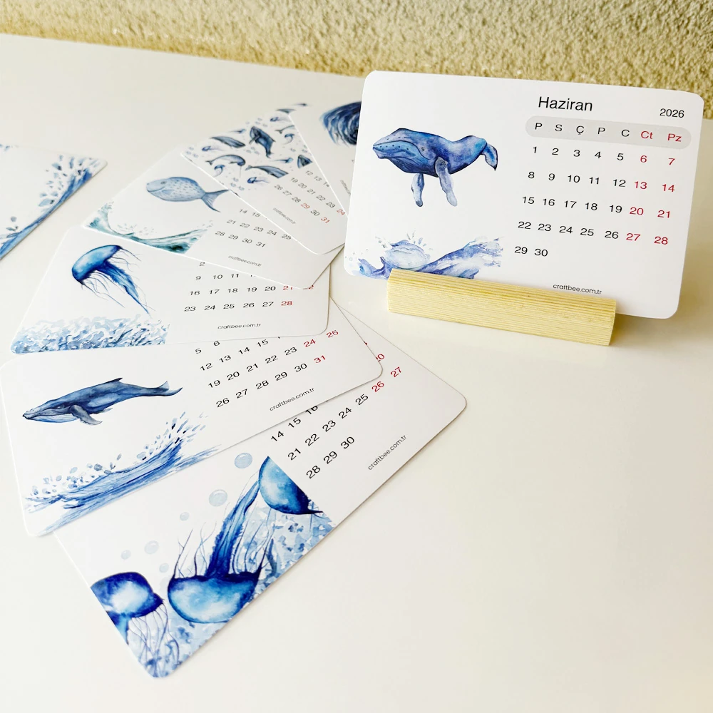 Okyanus Dünyası Özel Masaüstü Takvim Seti