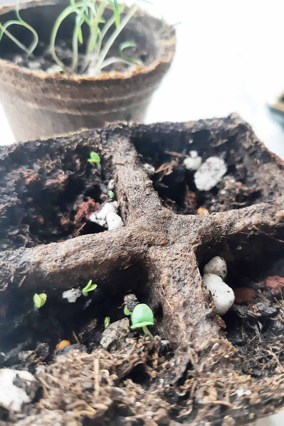 Mini Bahçe Seti