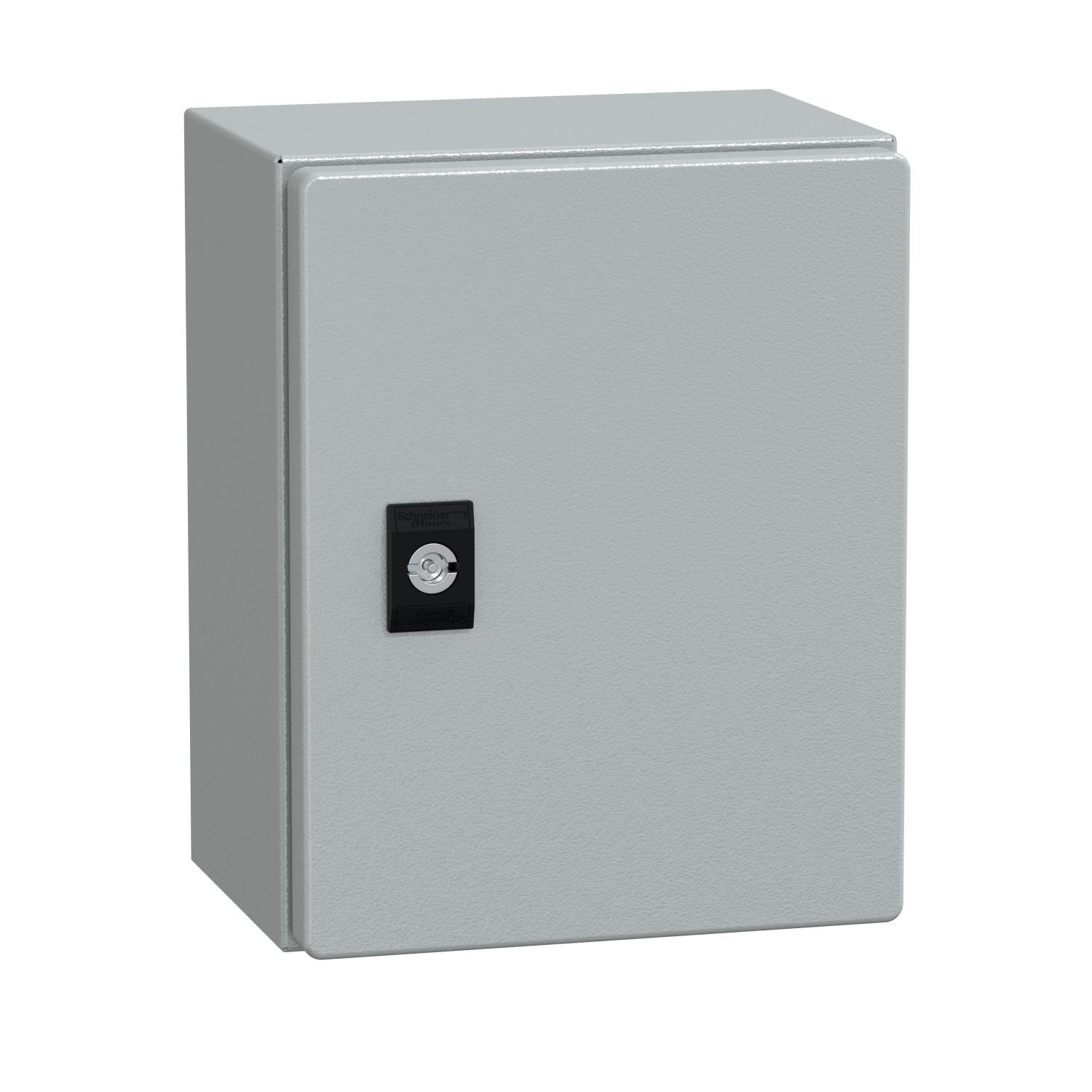 NSYCRN252150P PanelSeT CRN plain door with mount.plate. H250xW200xD150 IP66 IK10 RAL7035..