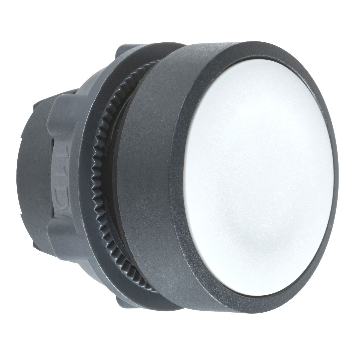 Schneider ZB5AA8 22mm Yaylı Dönüşlü Gri Sıva Altı Basmalı Buton Başlığı