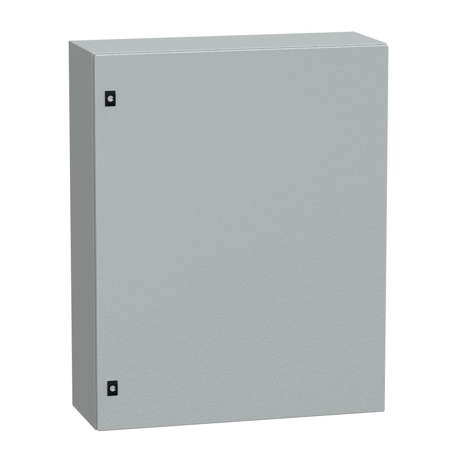 NSYCRN108300P PanelSeT CRN plain door with mount.plate. H1000xW800xD300 IP66 IK10 RAL7035..