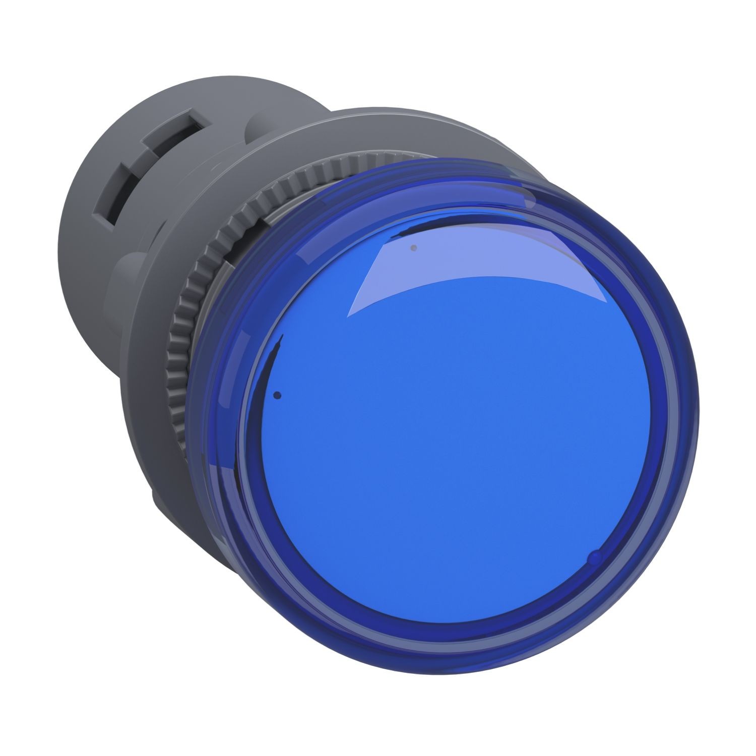 XA2EVB6LC round pilot light Ø 22 - blue - integral LED - 24 V AC/DC- screw clamp terminals