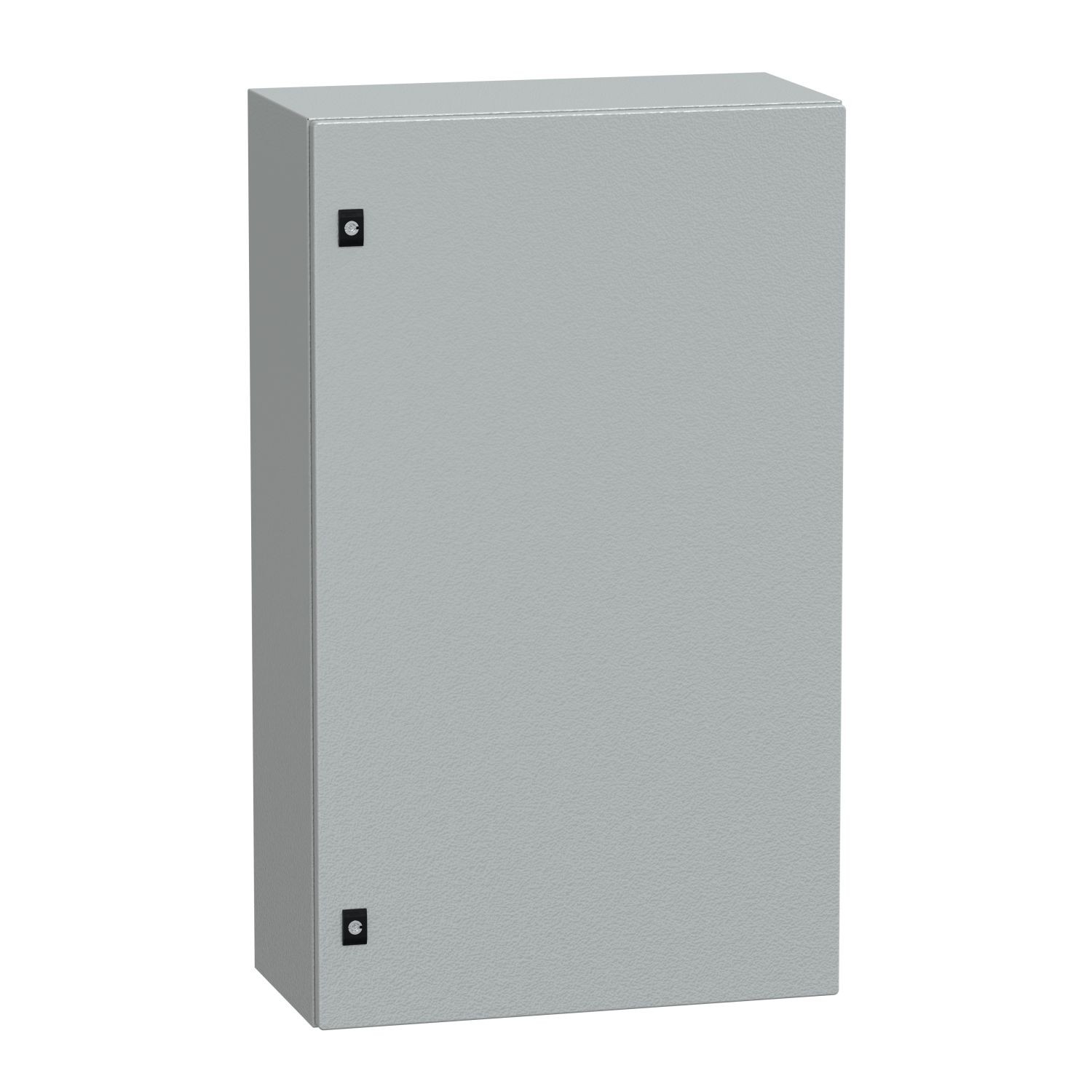NSYCRN106300P PanelSeT CRN plain door with mount.plate. H1000xW600xD300 IP66 IK10 RAL7035..
