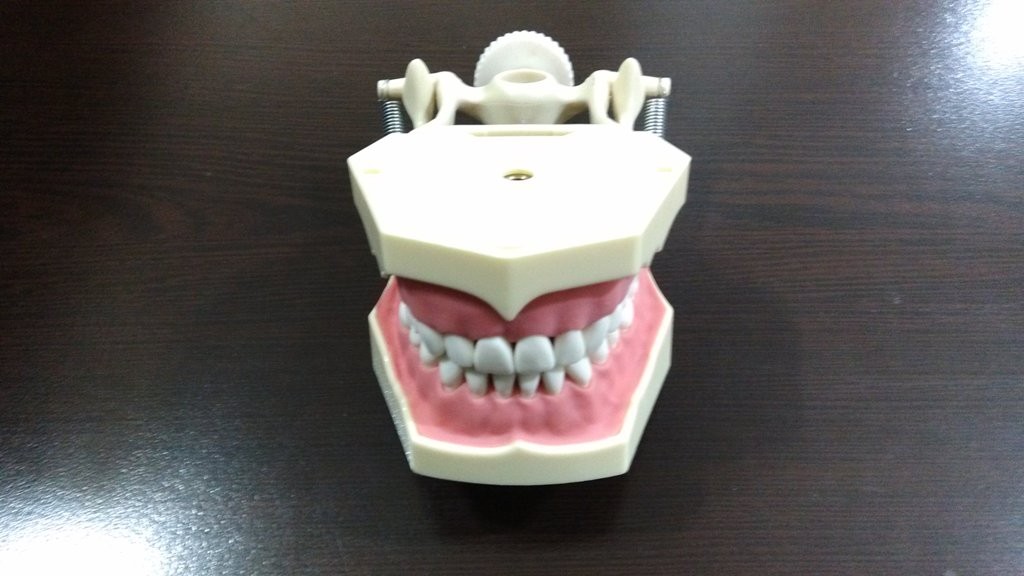 MODEL ÇENE FUJİ