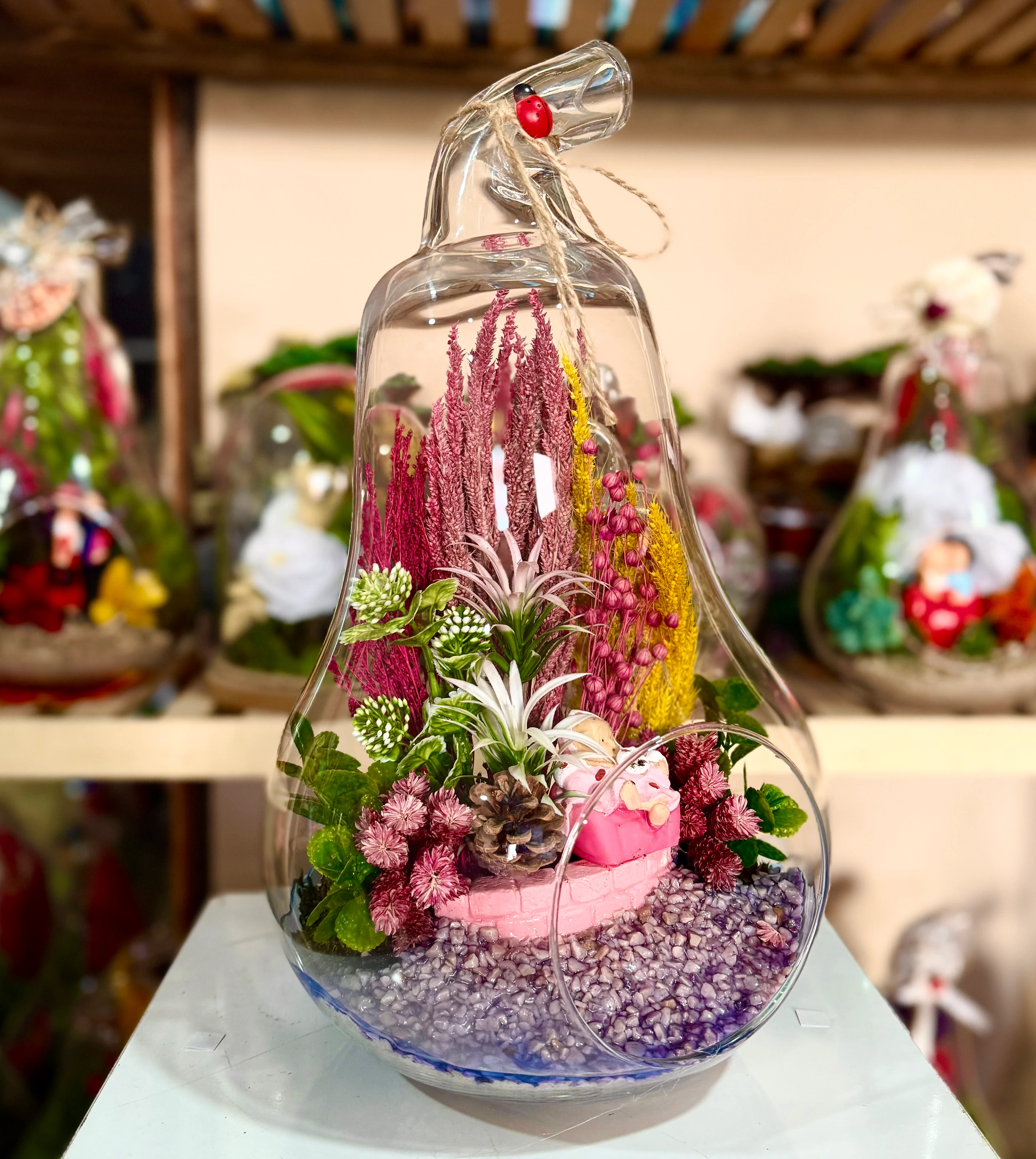 Büyük Boy Armut Teraryum