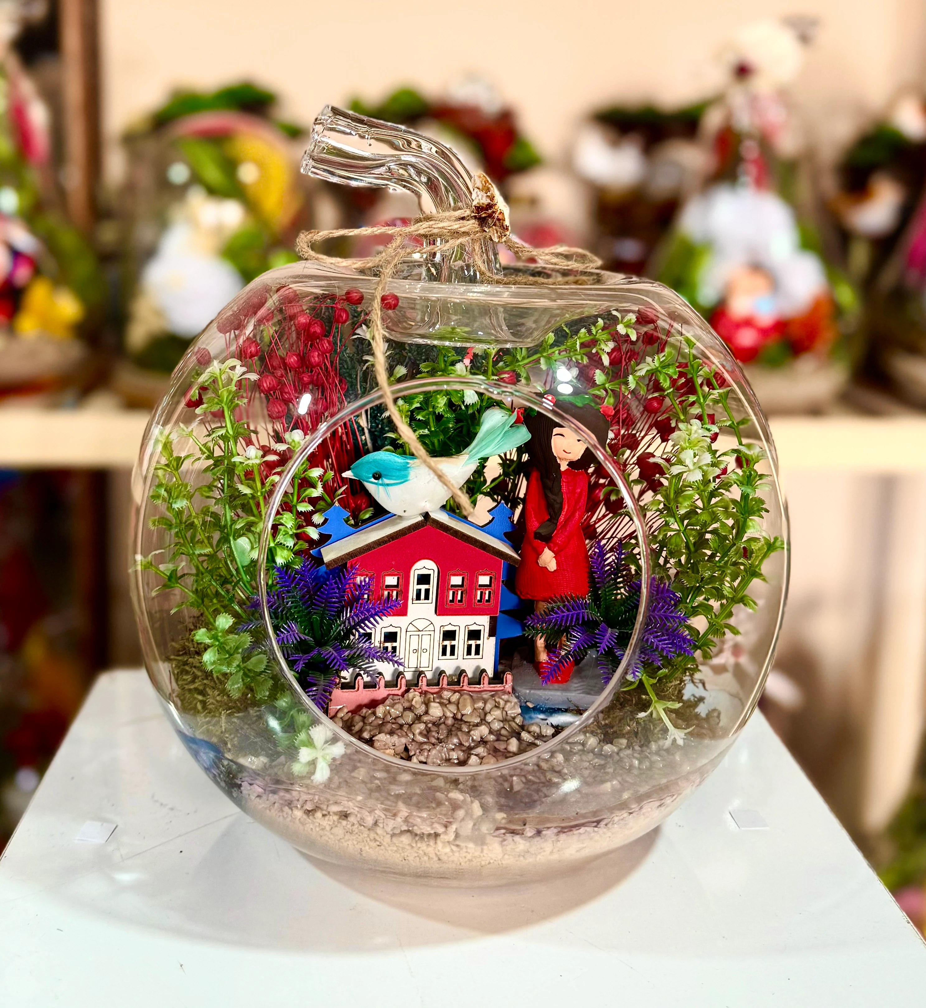 Ev Detaylı Elma Teraryum