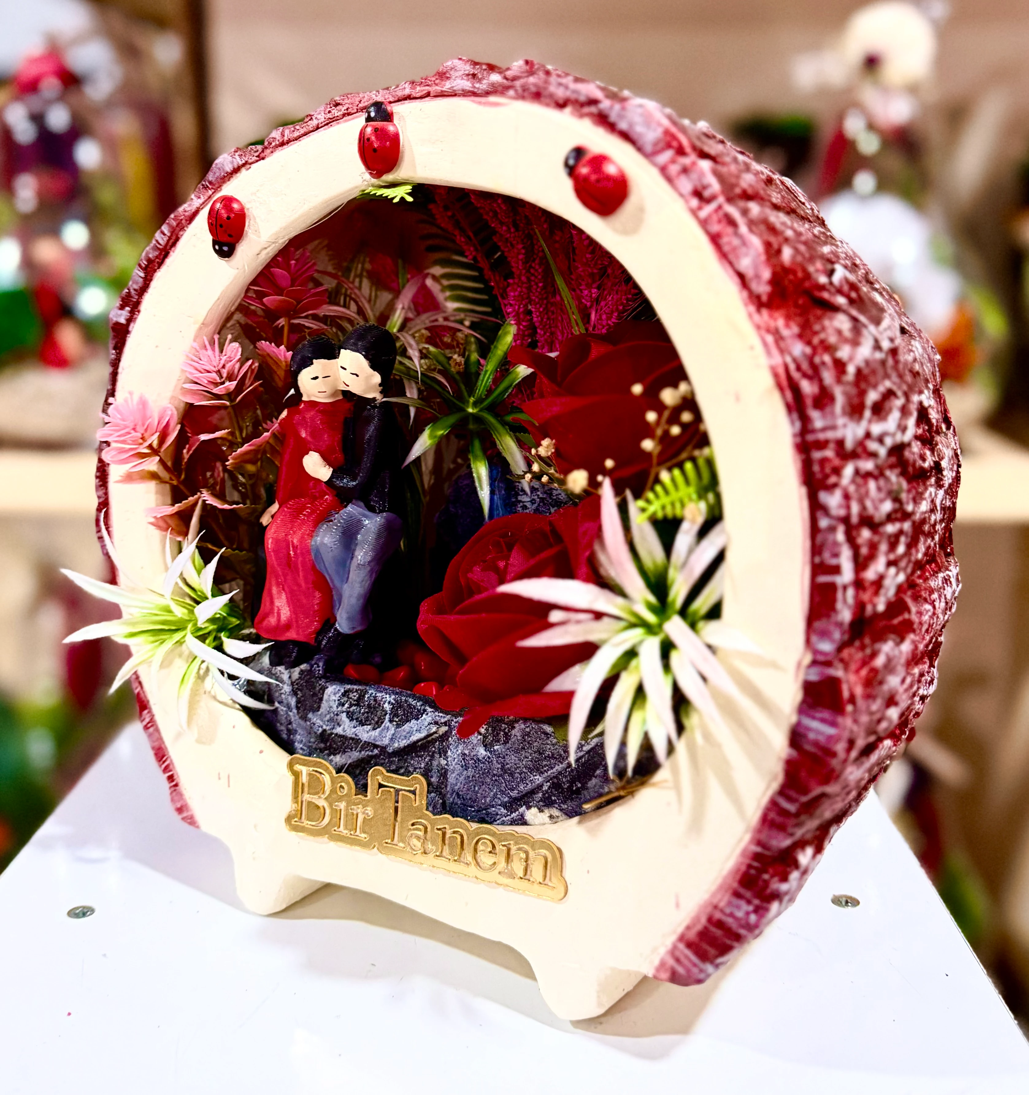 Kütük Şeklinde Teraryum