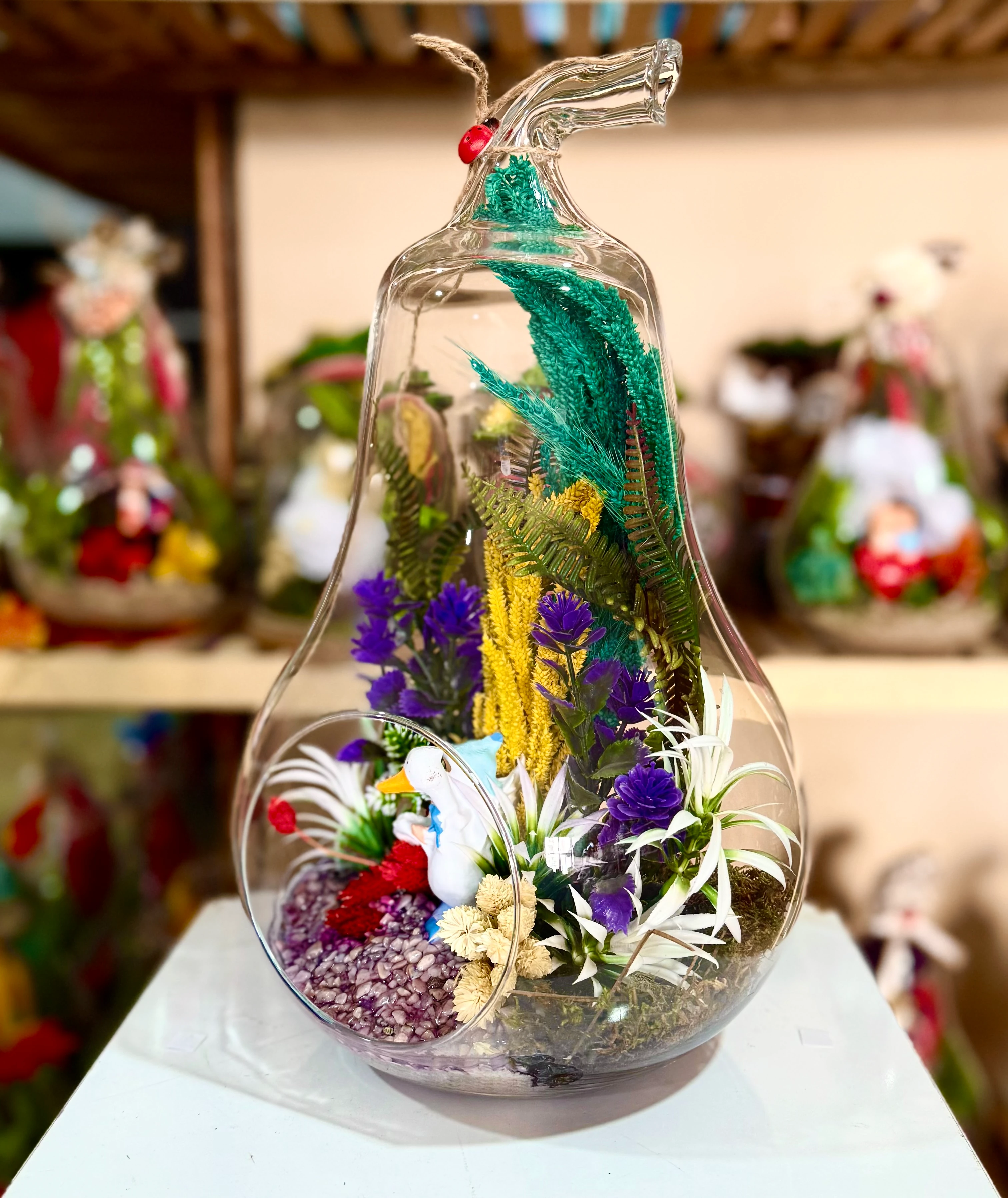 Büyük Boy Armut Teraryum