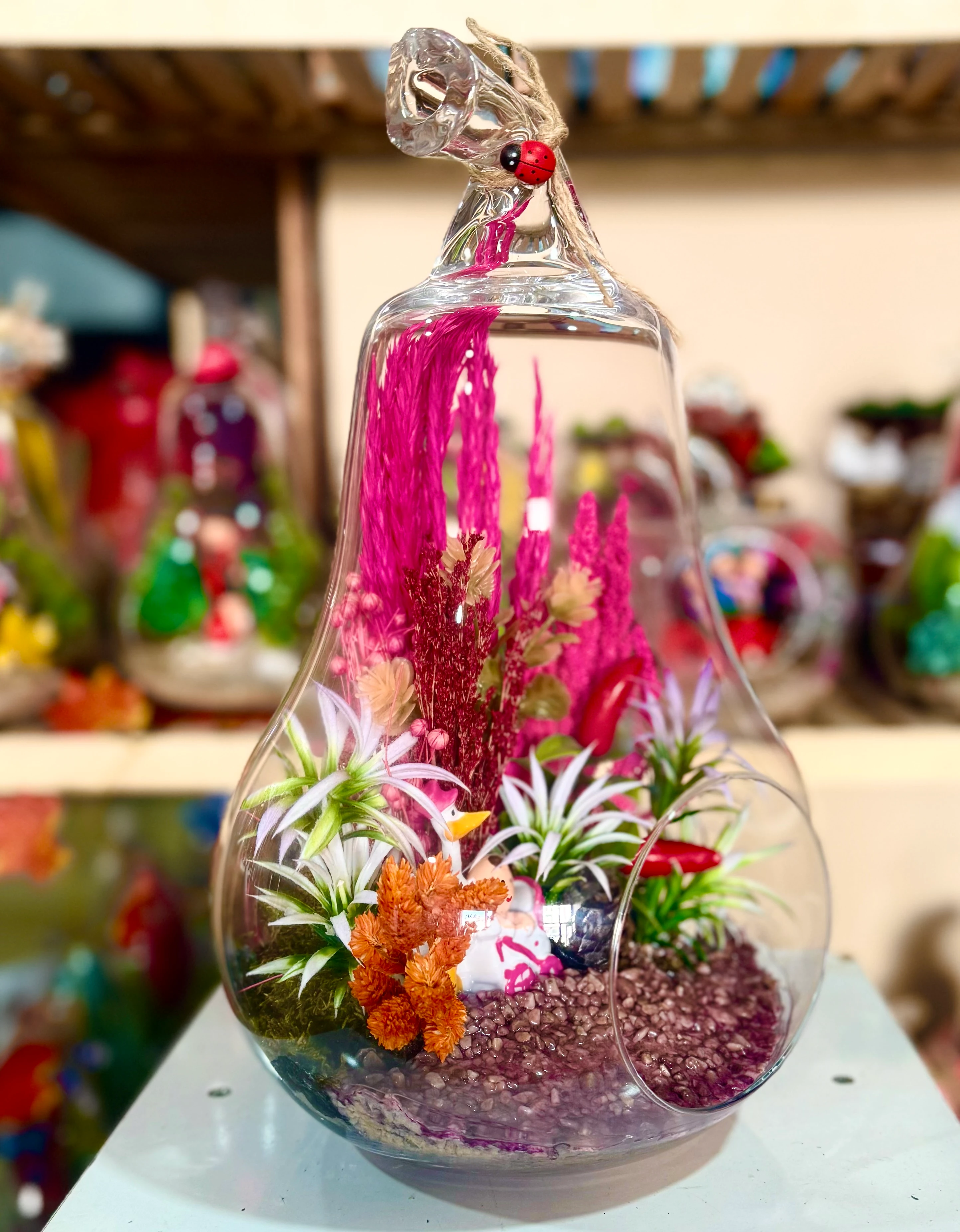 Büyük Boy Armut Teraryum