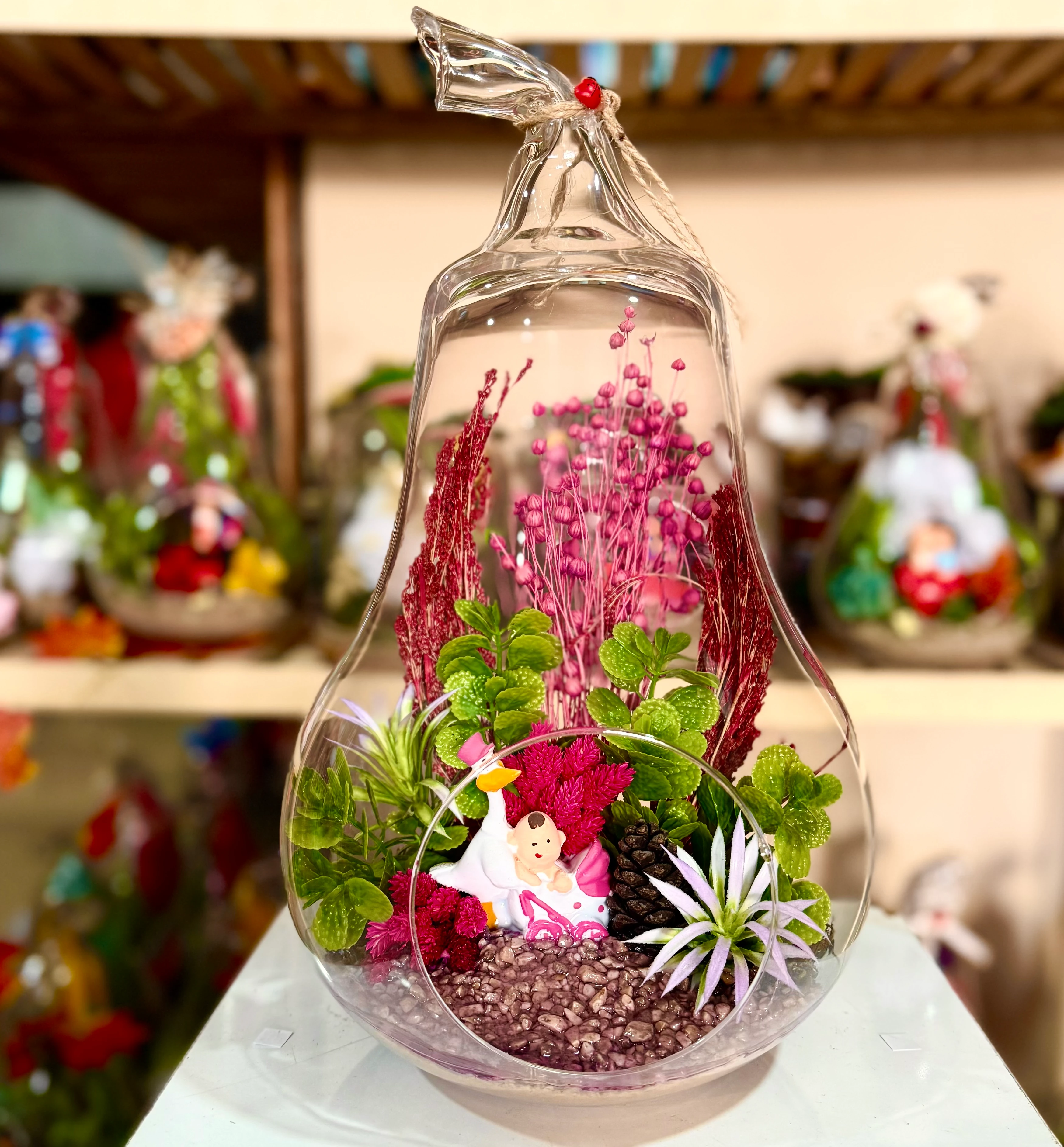 Büyük Boy Armut Teraryum