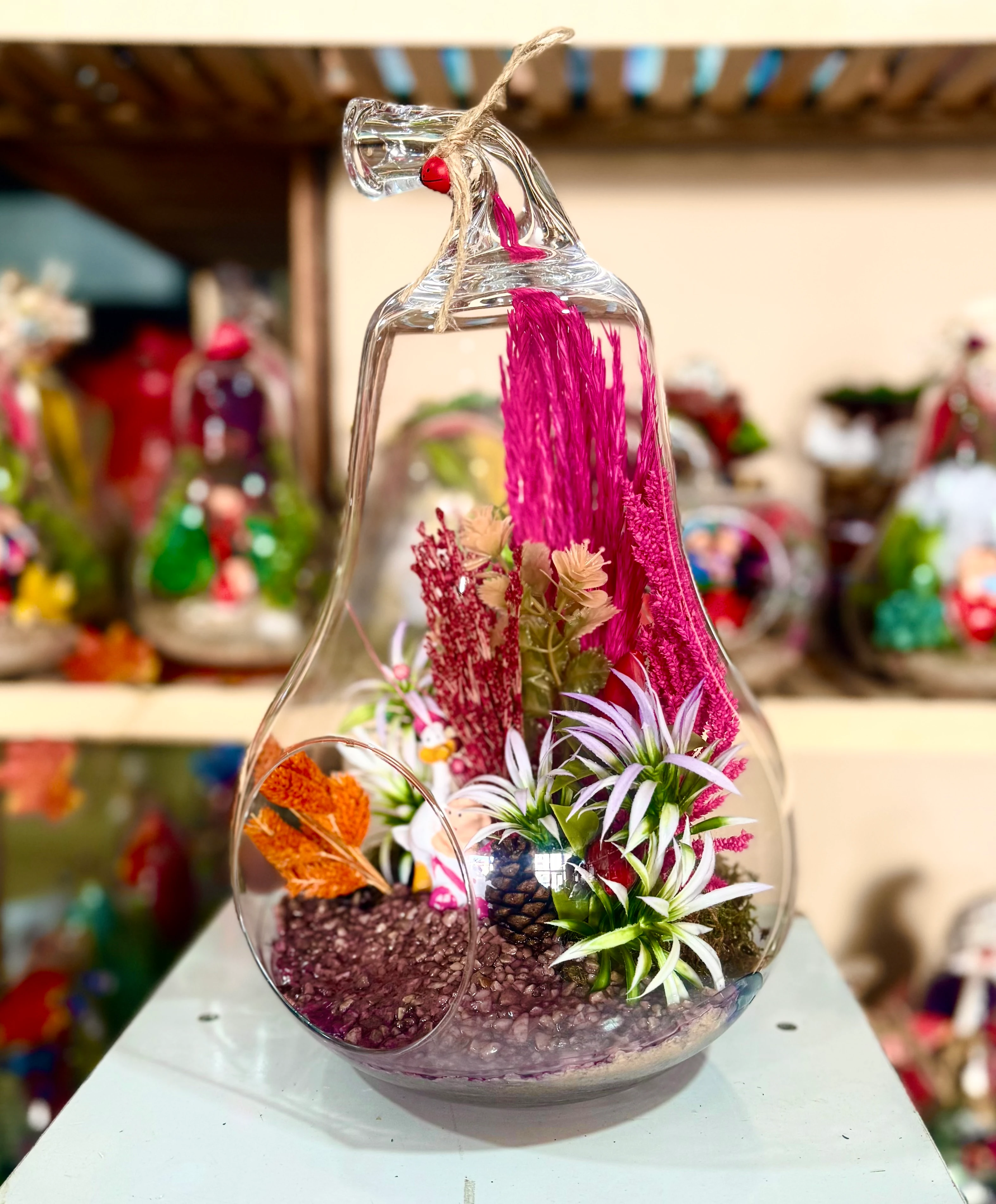 Büyük Boy Armut Teraryum