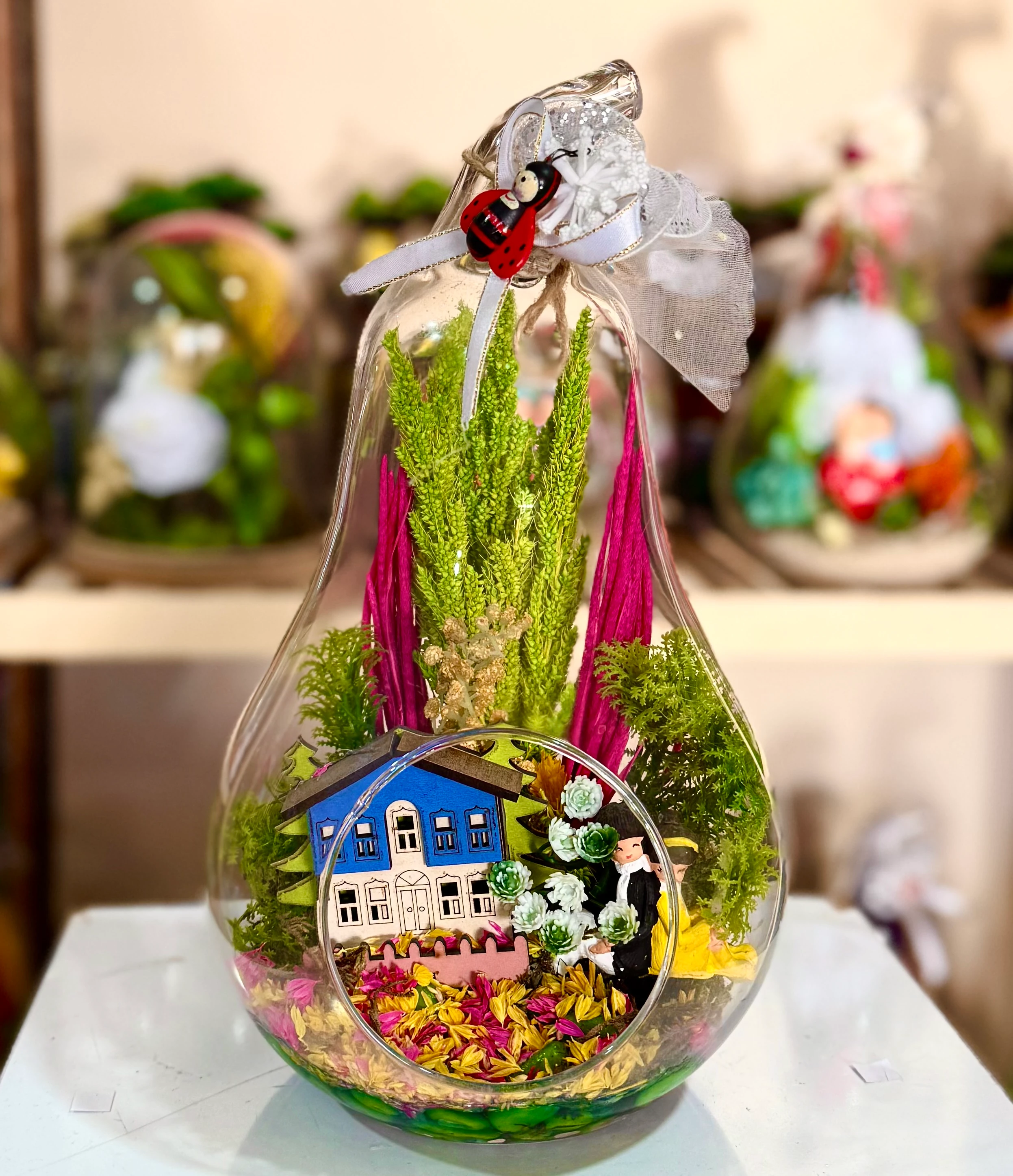 Küçük Boy Armut Teraryum