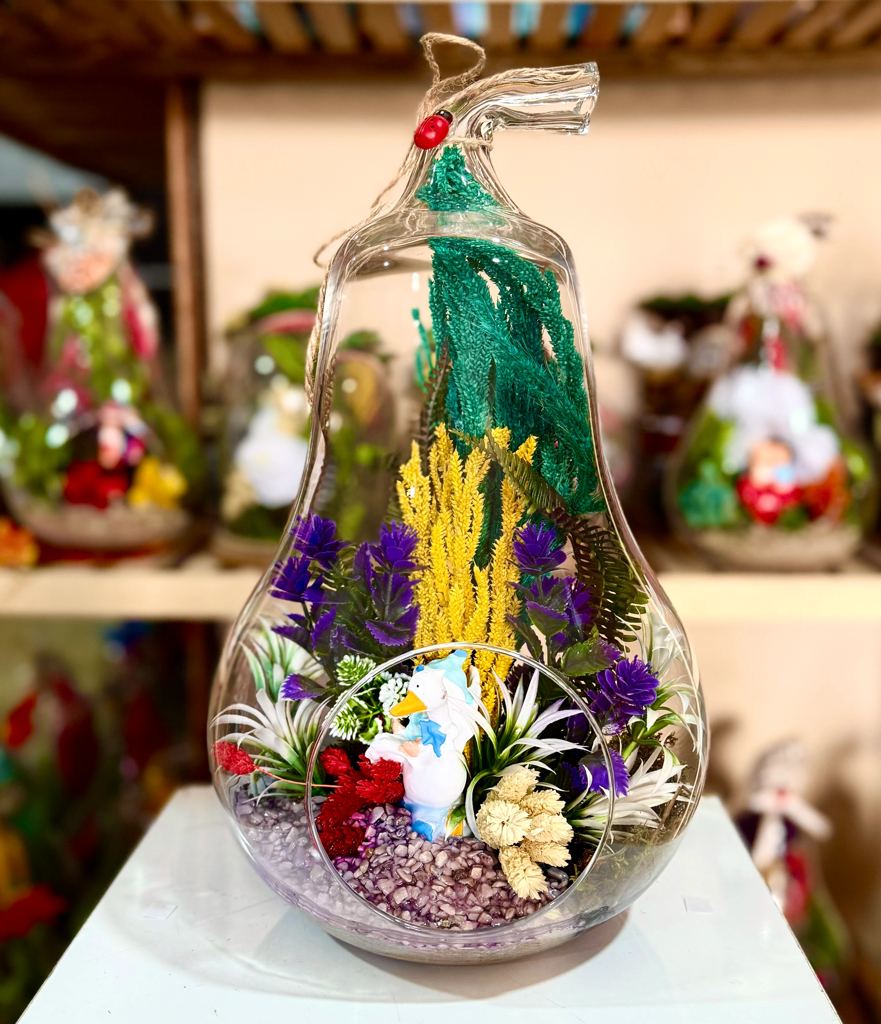 Büyük Boy Armut Teraryum