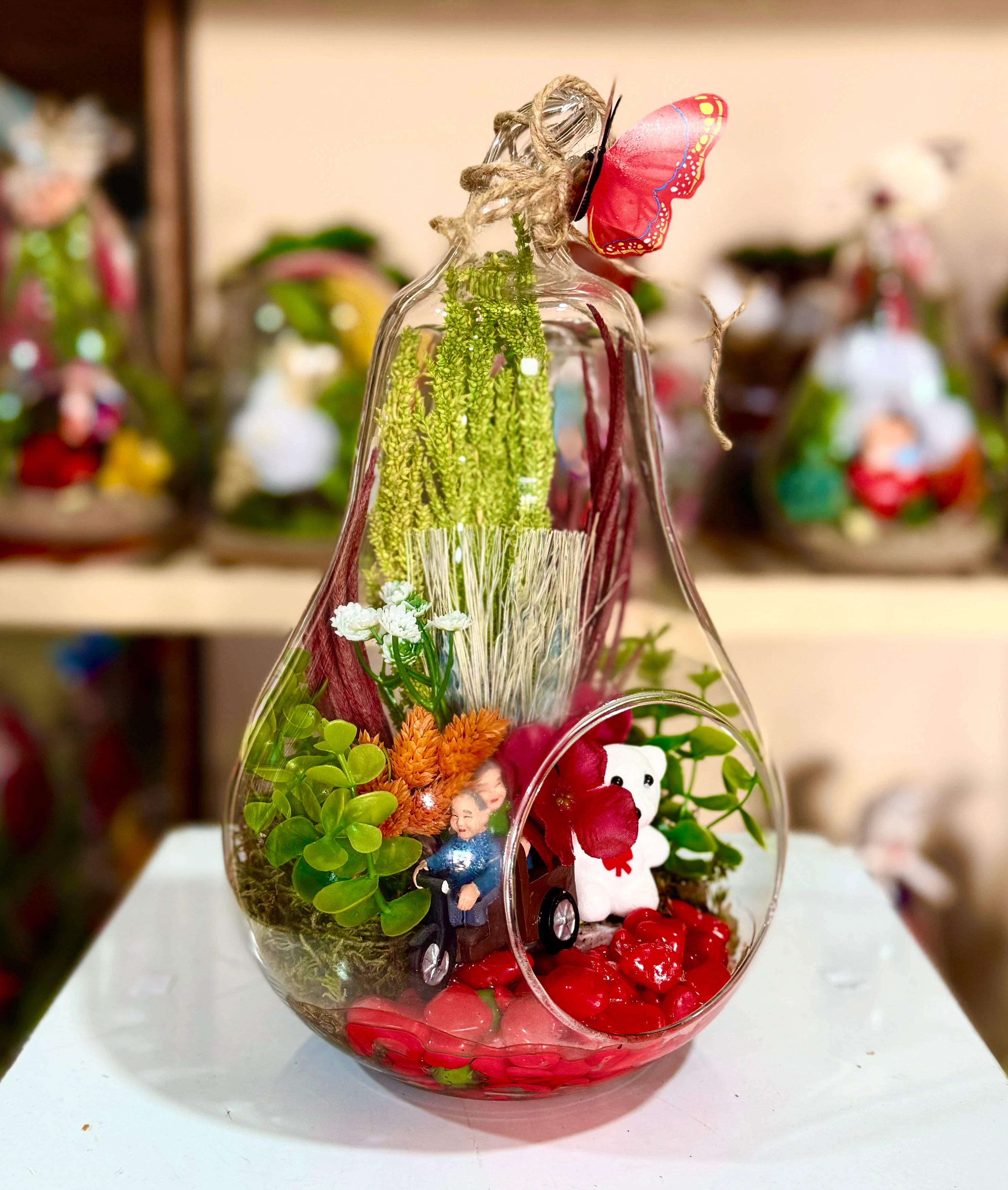 Küçük Boy Armut Teraryum