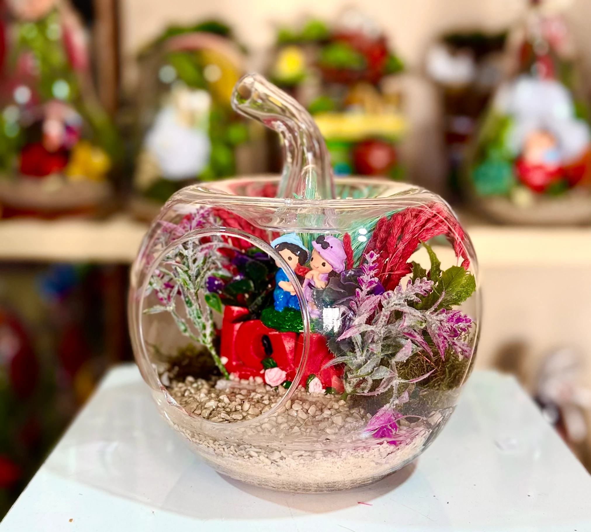 Küçük Boy Elma Teraryum