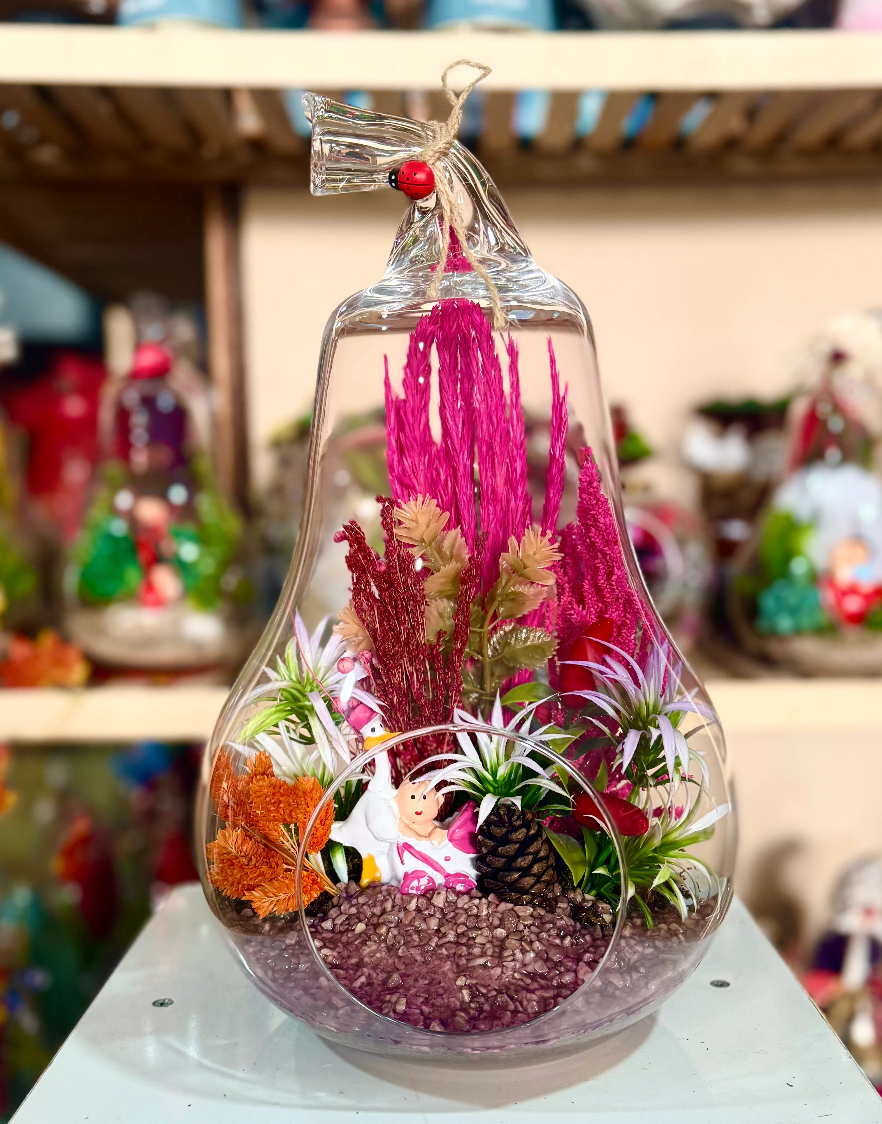 Büyük Boy Armut Teraryum