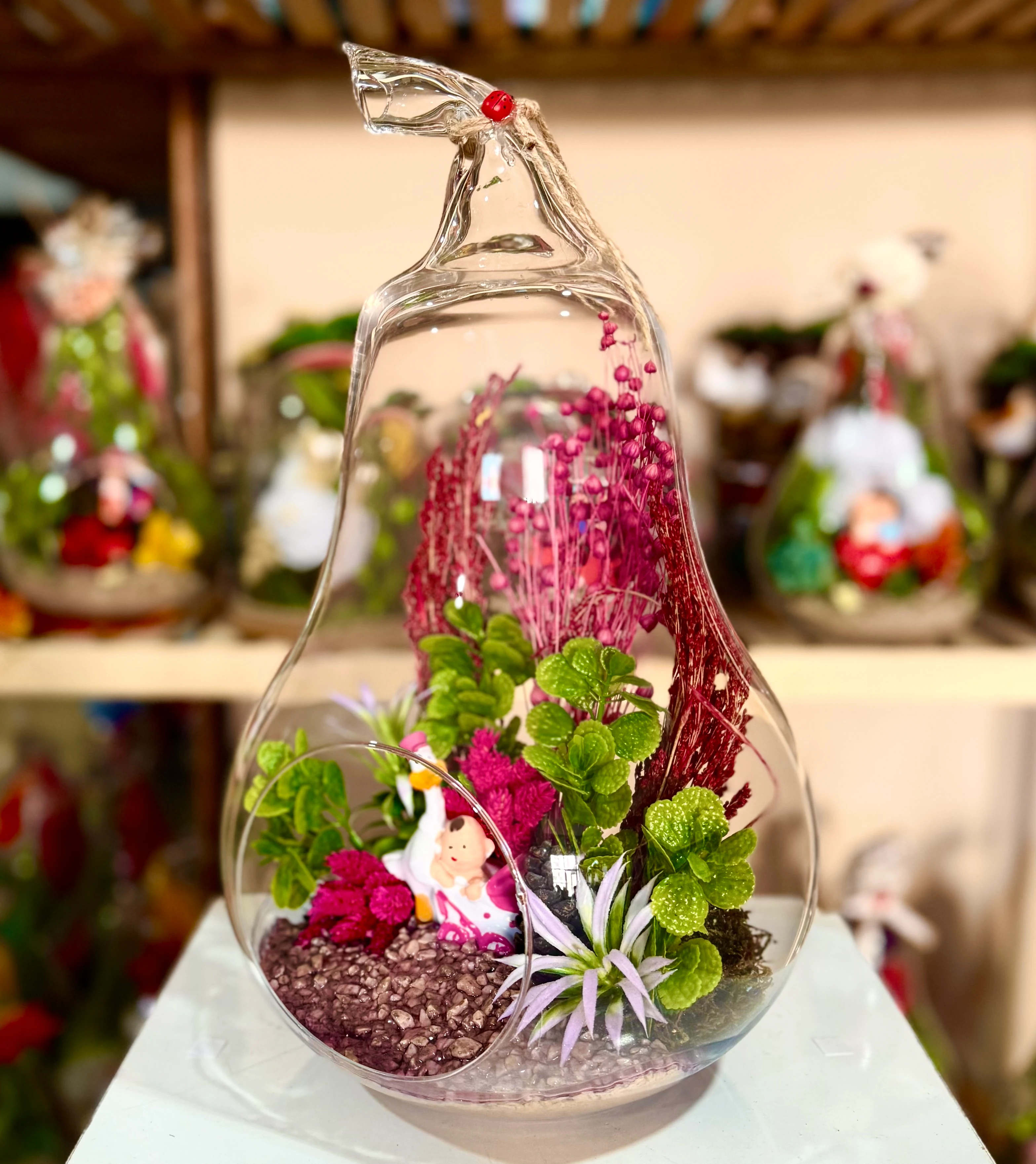 Büyük Boy Armut Teraryum