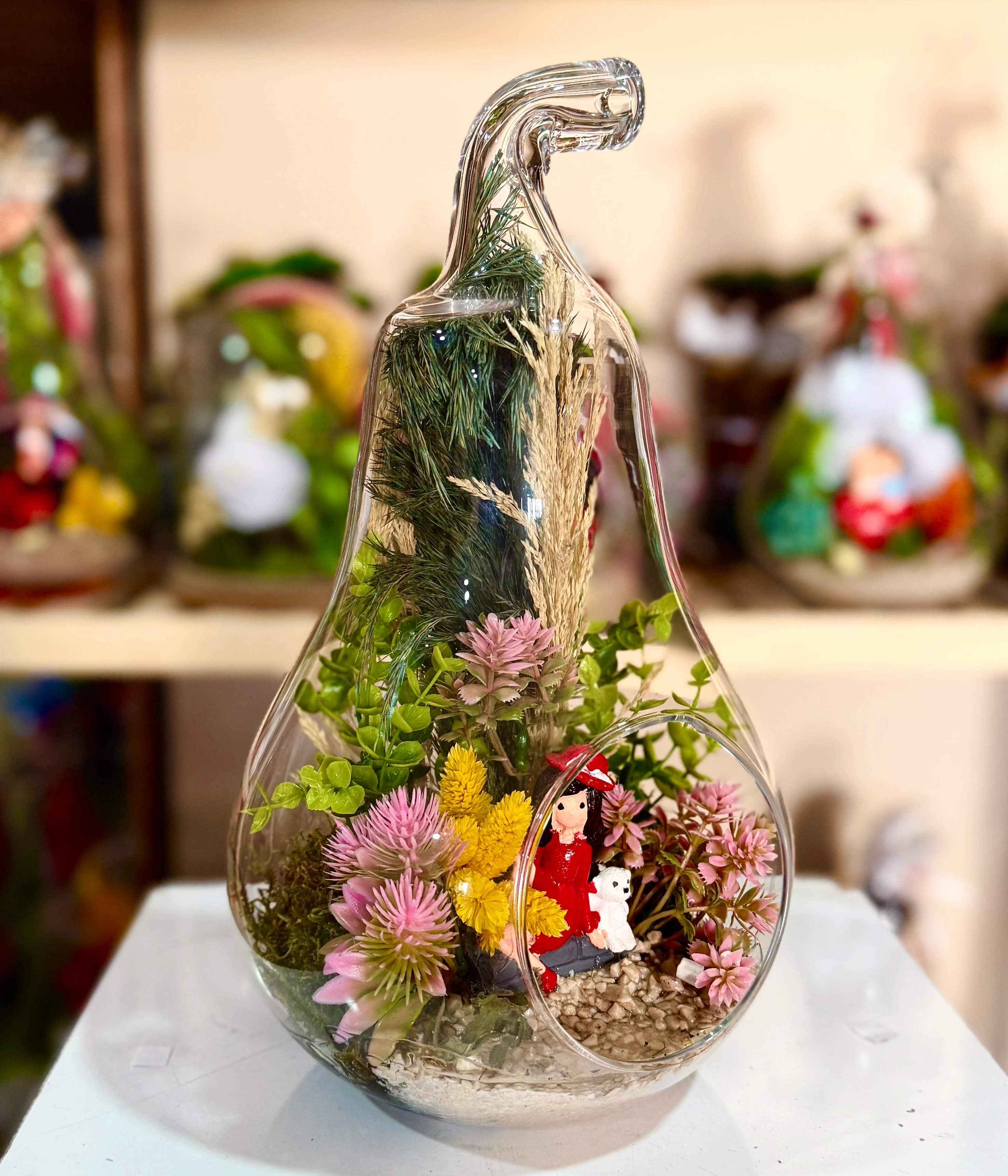 Küçük Boy Armut Teraryum