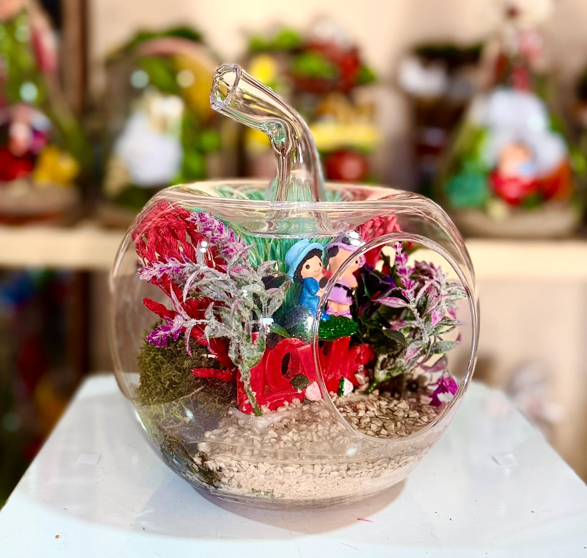 Küçük Boy Elma Teraryum