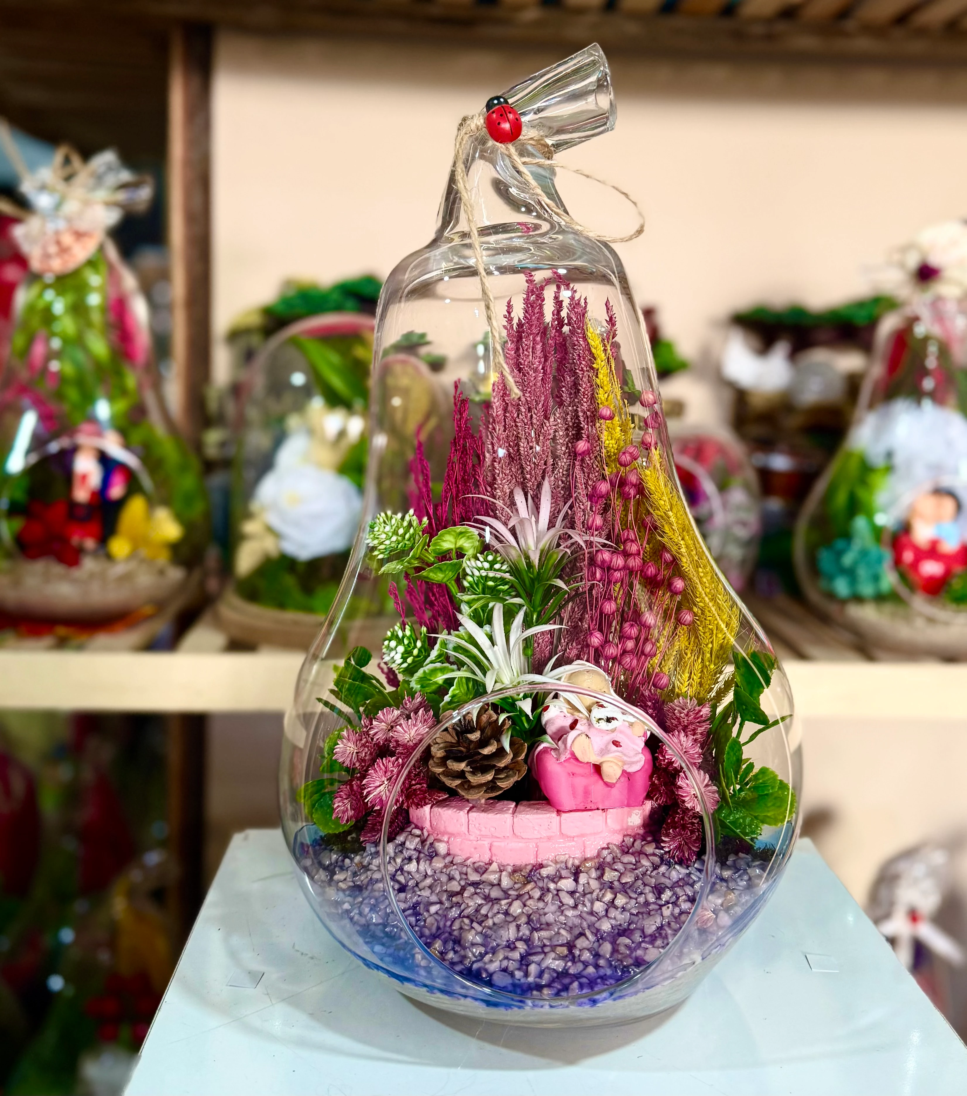 Büyük Boy Armut Teraryum