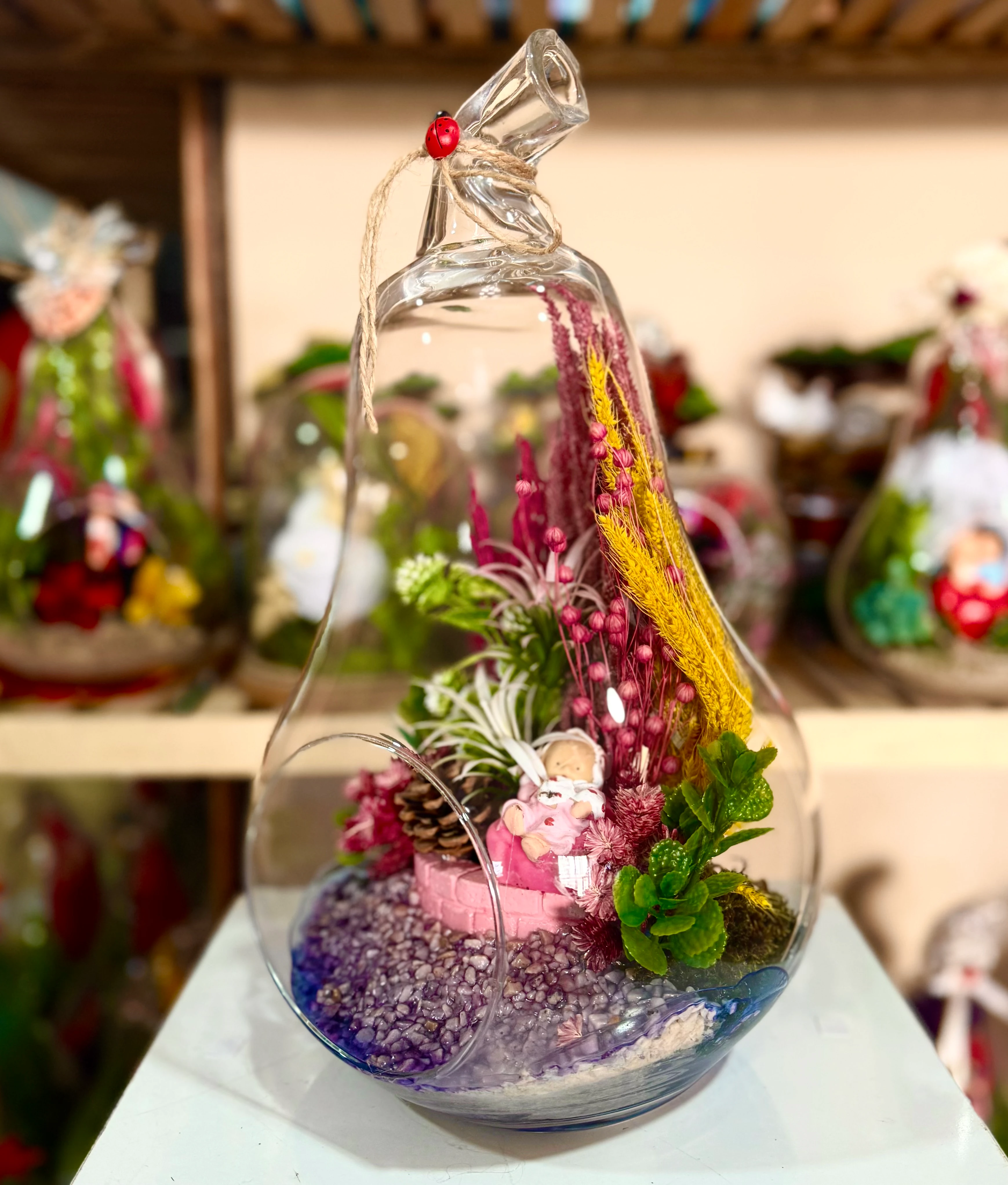 Büyük Boy Armut Teraryum