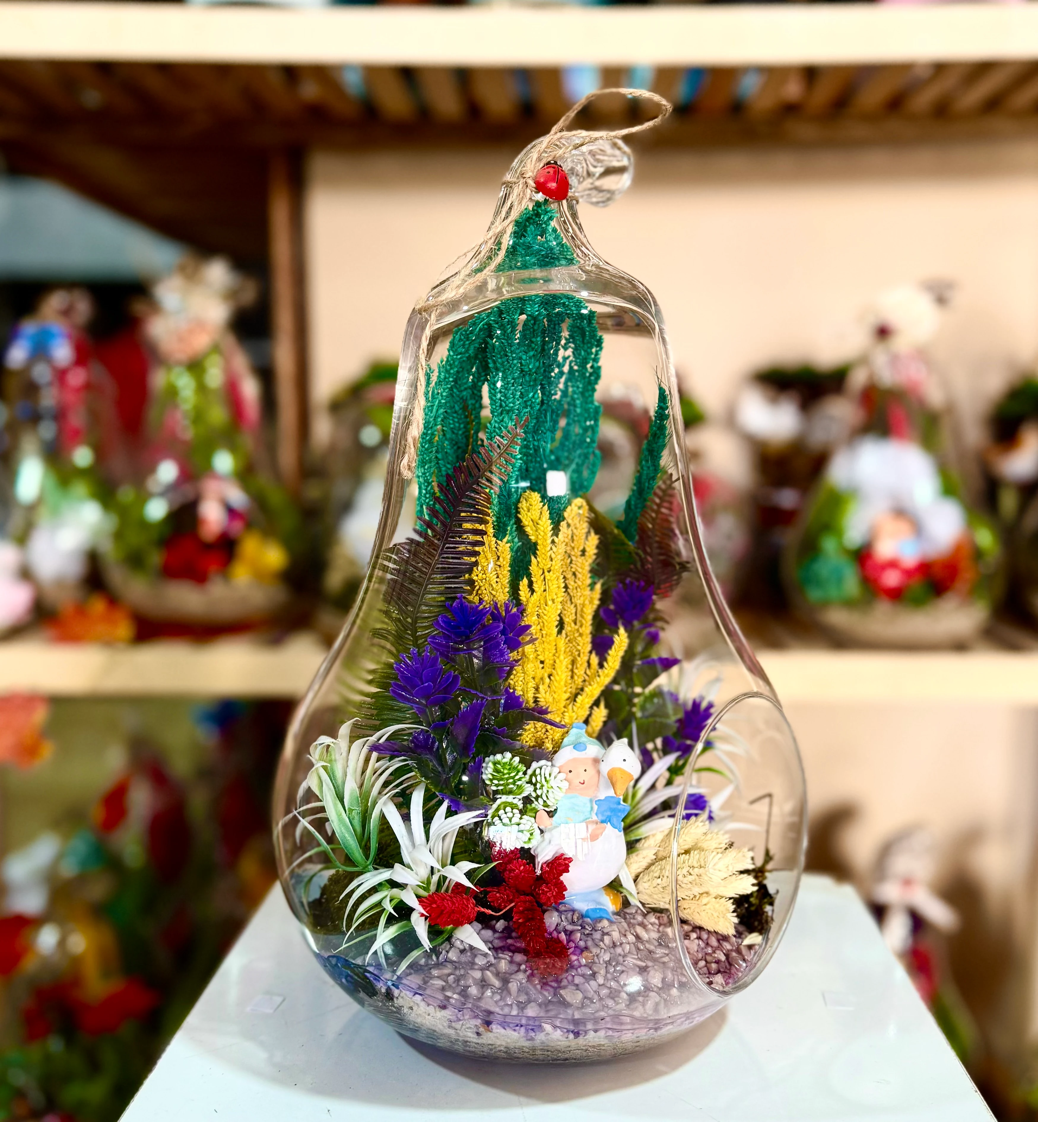 Büyük Boy Armut Teraryum