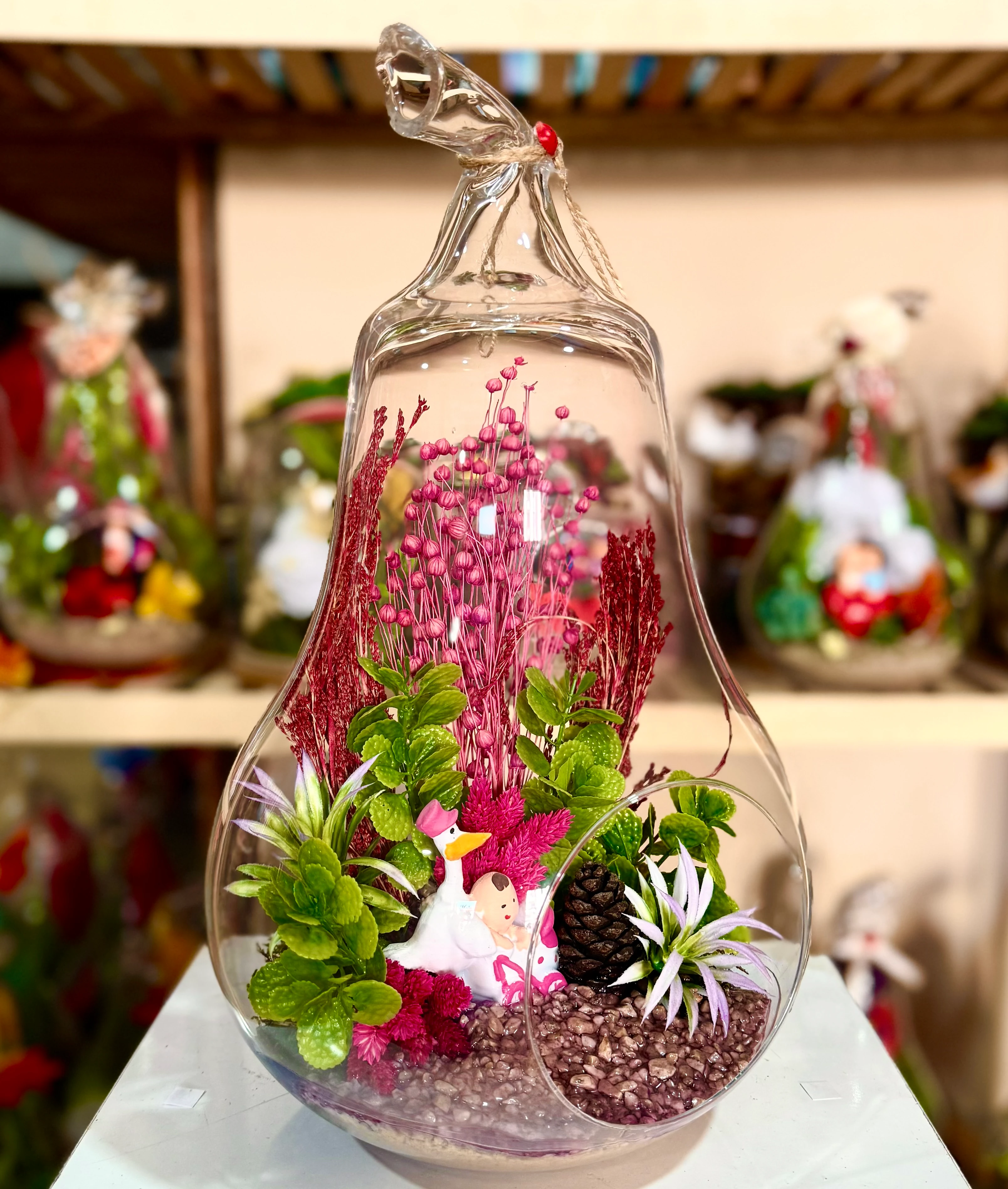 Büyük Boy Armut Teraryum