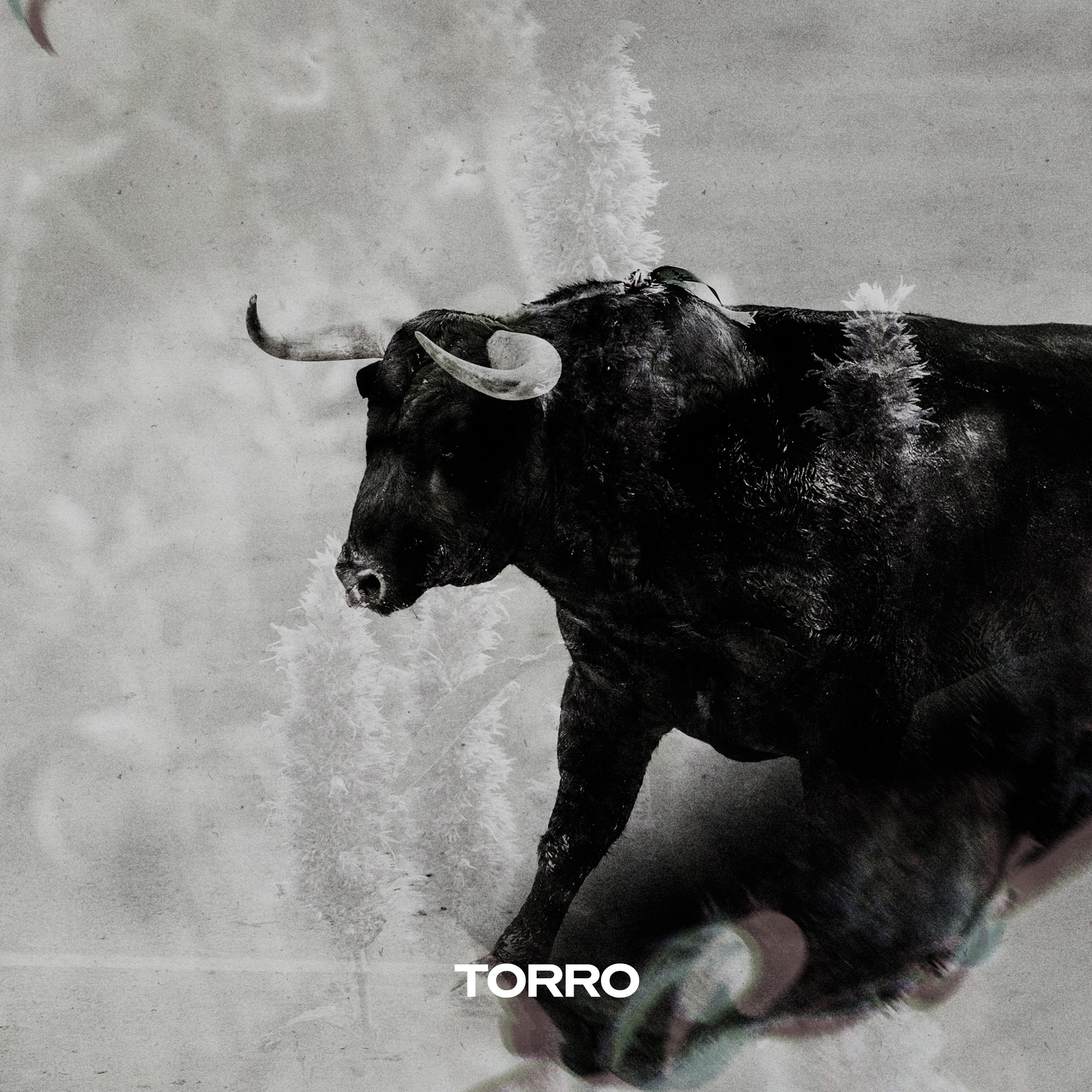 TORRO