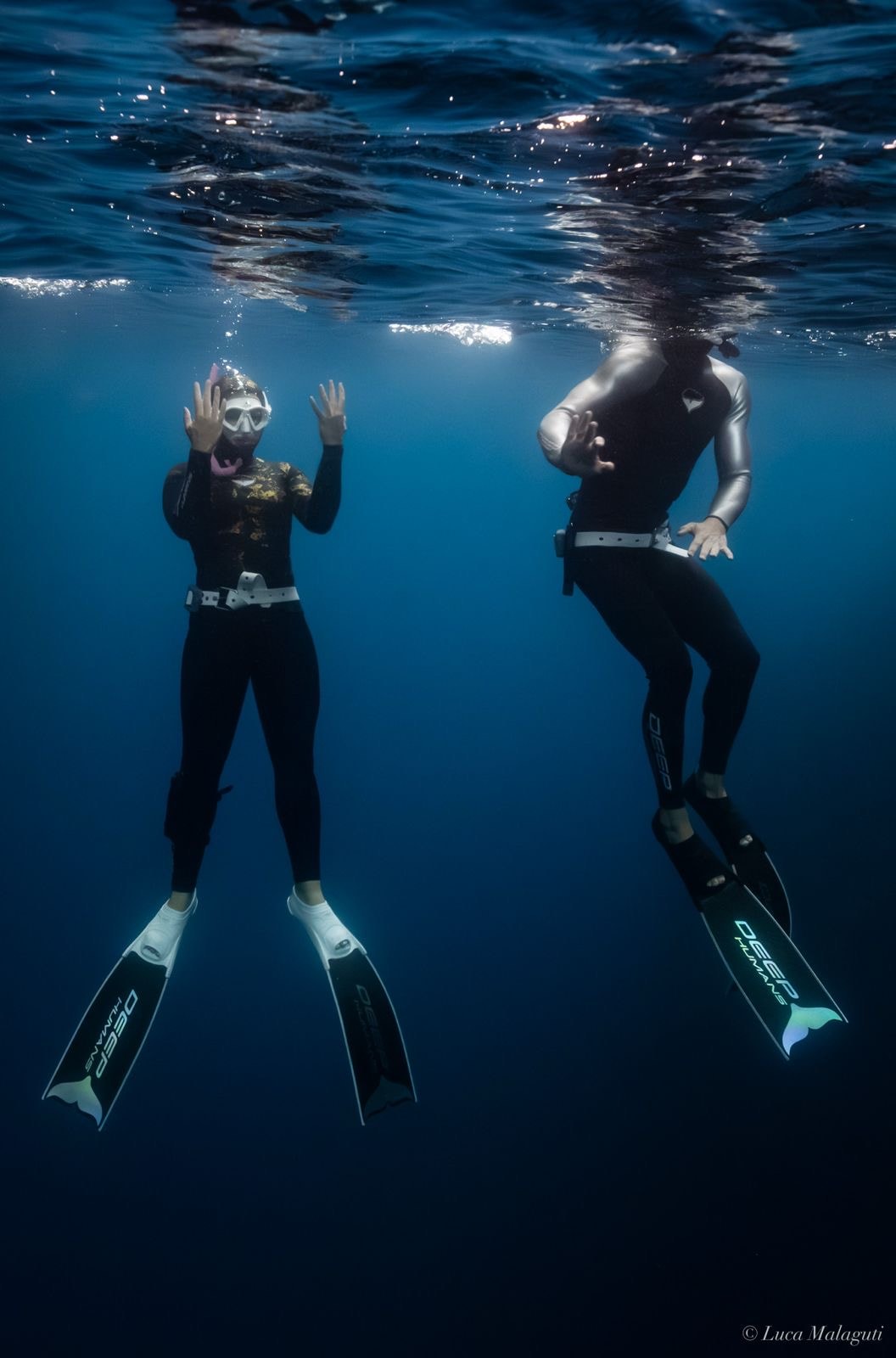 Shiny Karbon Dalış Paleti