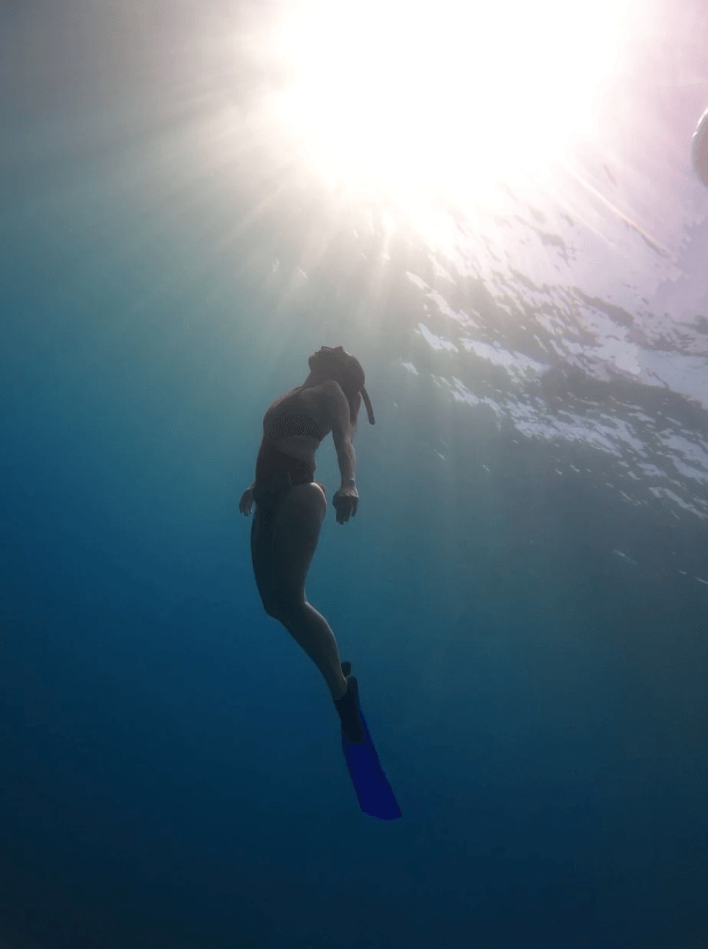 PADI Master Freediver Eğitimi