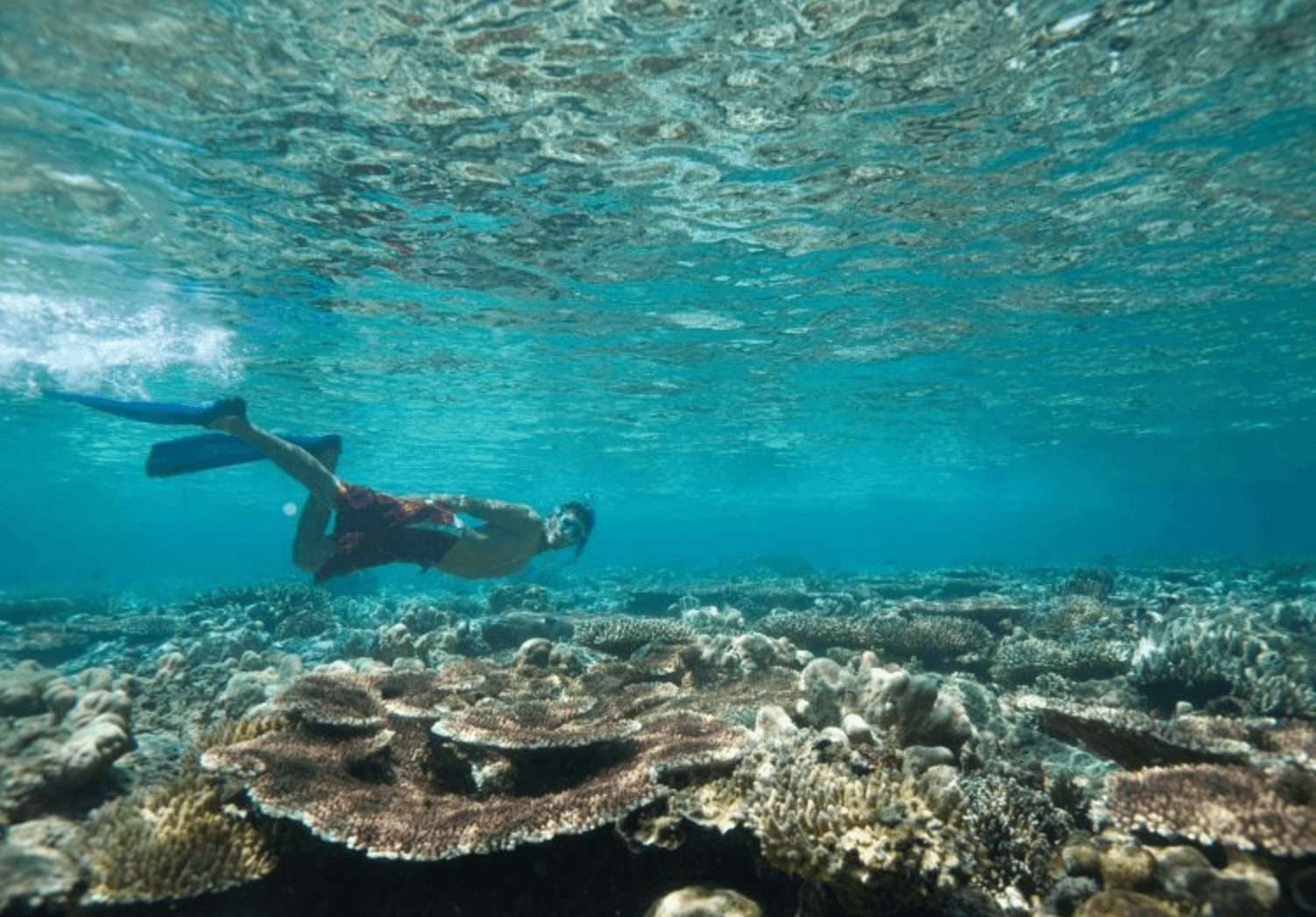 PADI Deneme Dalışları