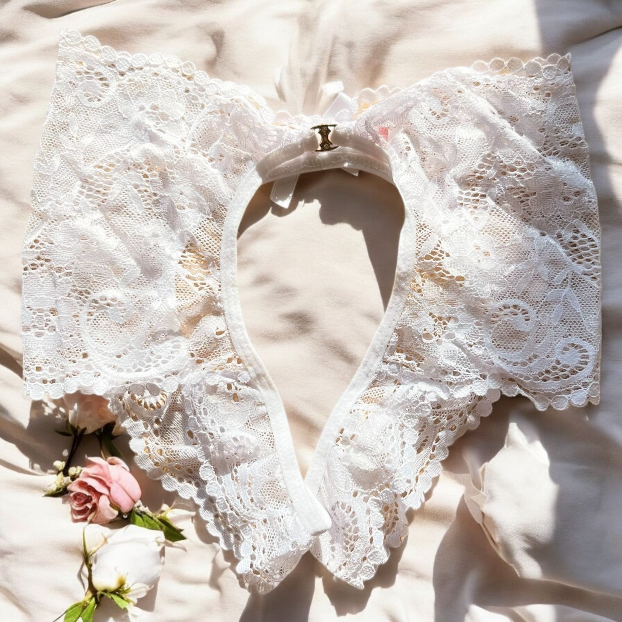 Özel Bölgesi Açık Seksi Külot